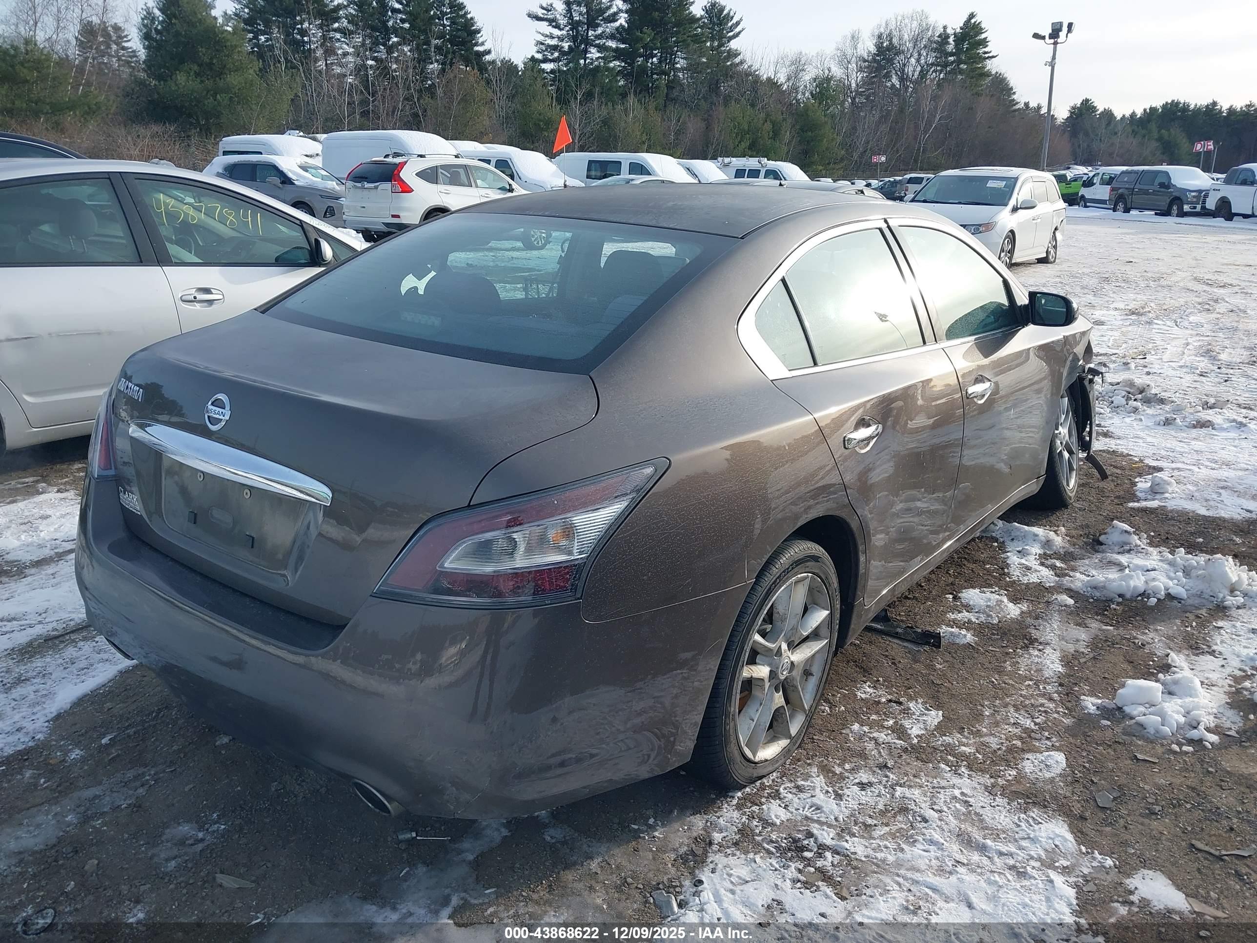 NISSAN MAXIMA image 4