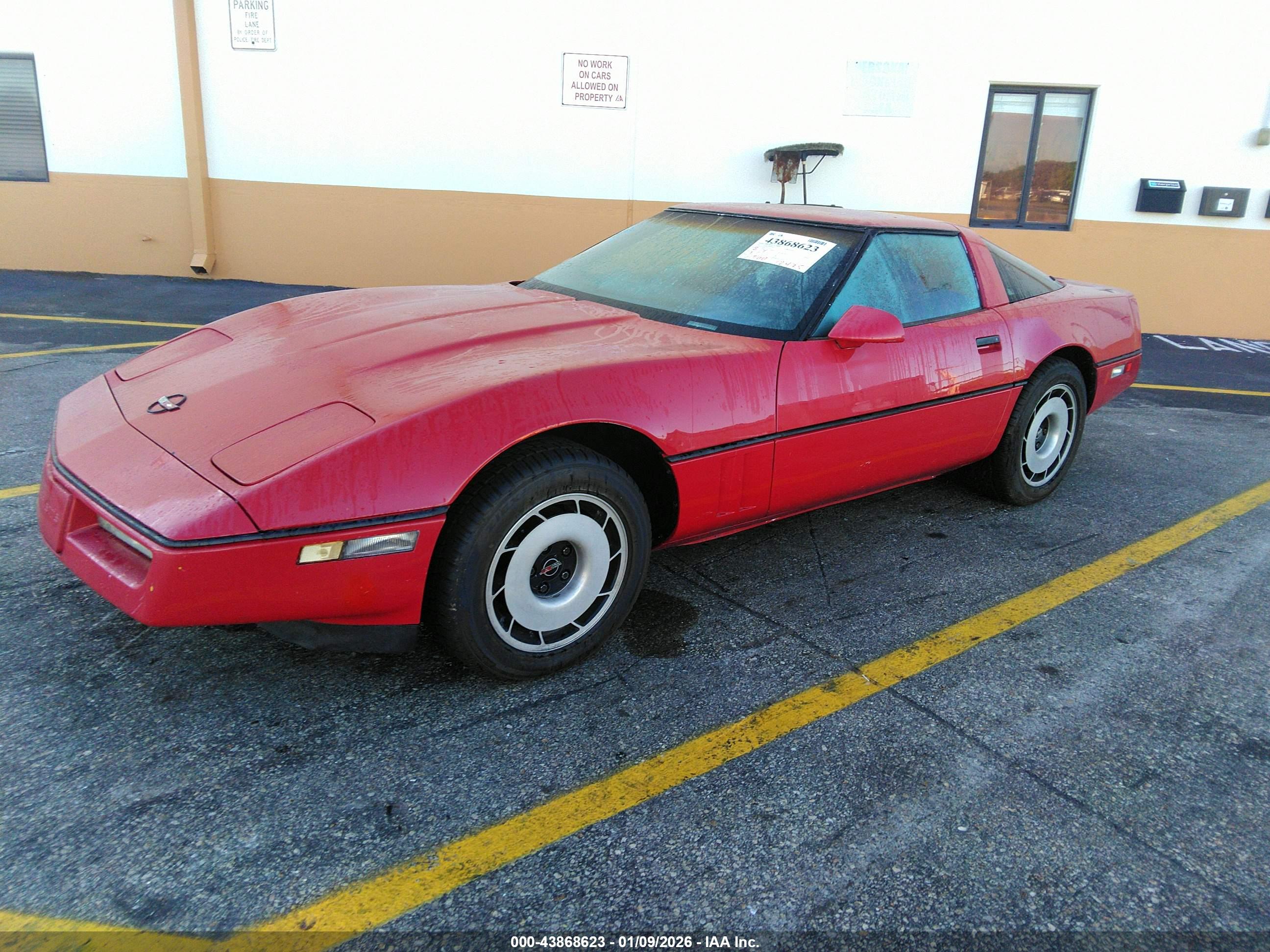 CHEVROLET CORVETTE image 2