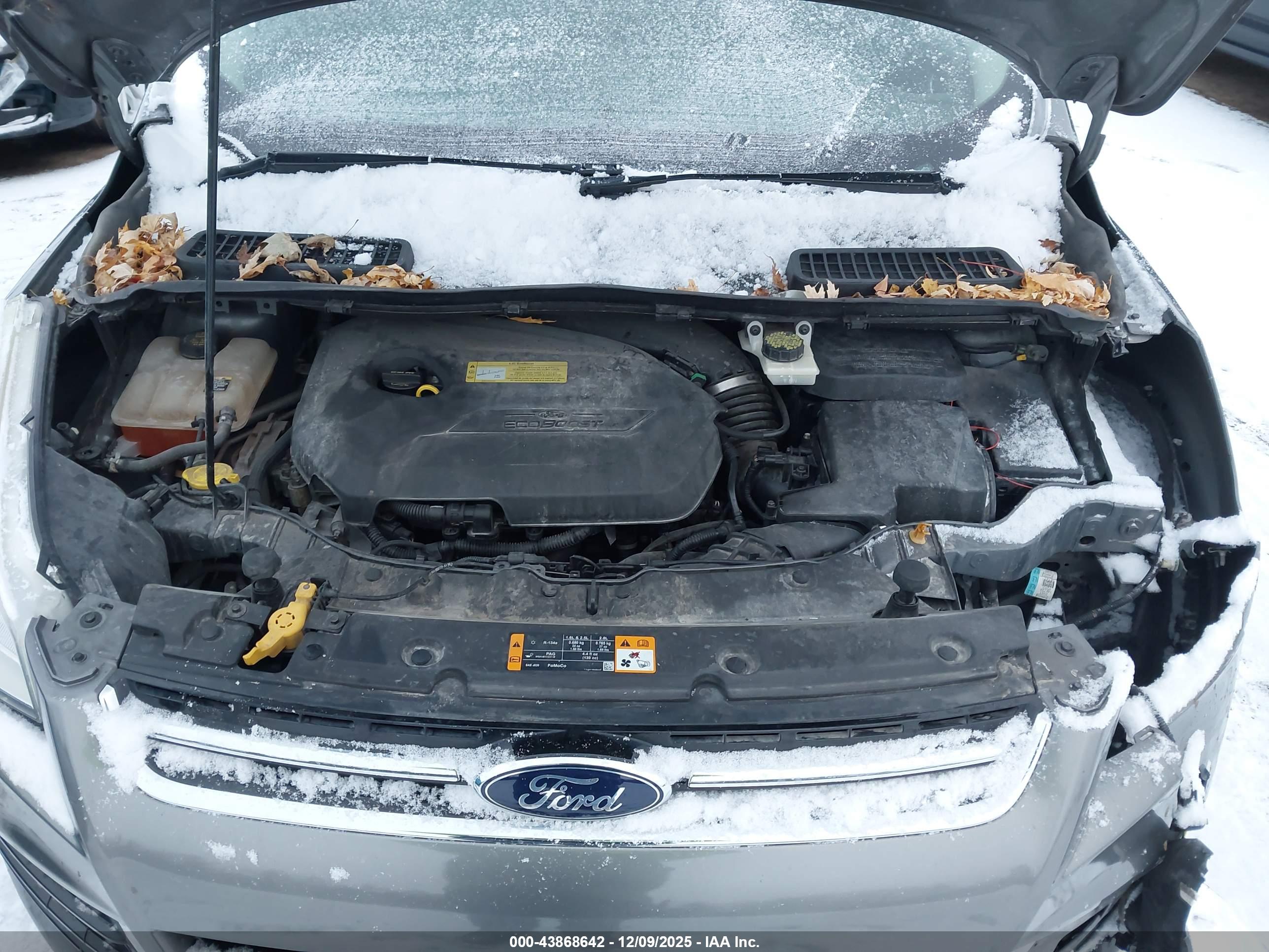 FORD ESCAPE image 10