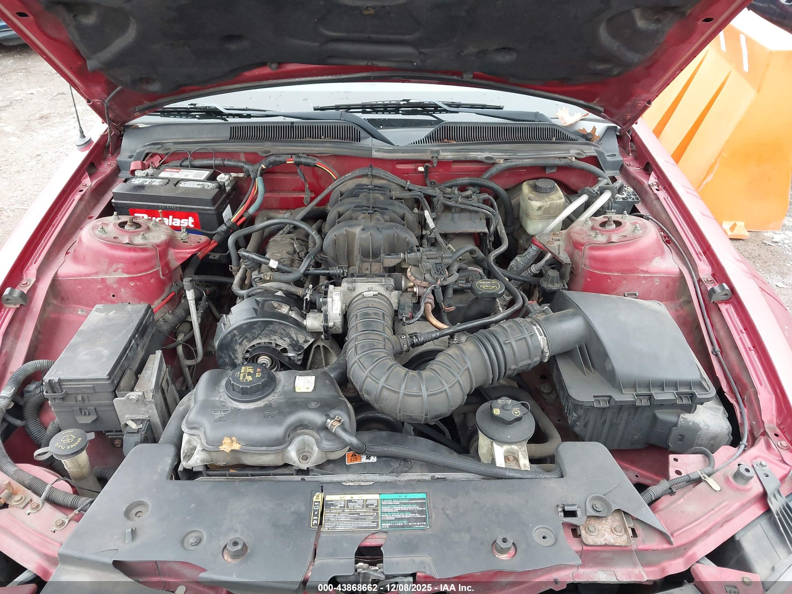 FORD MUSTANG image 10