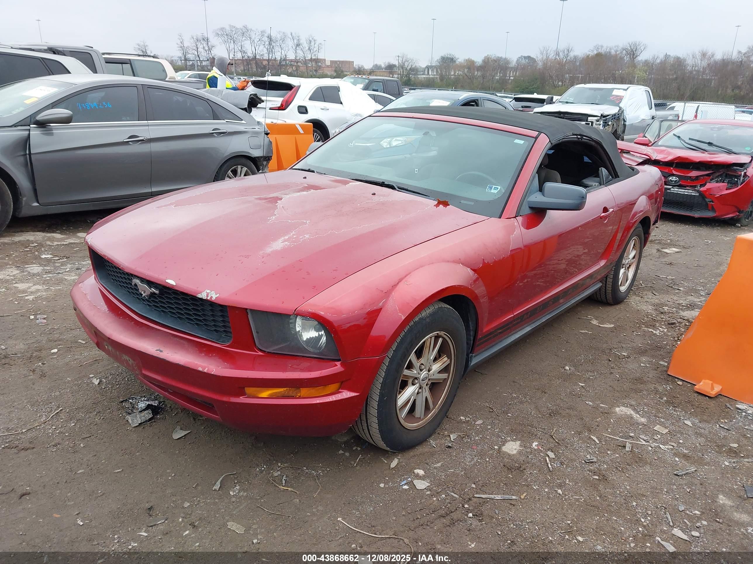 FORD MUSTANG image 2