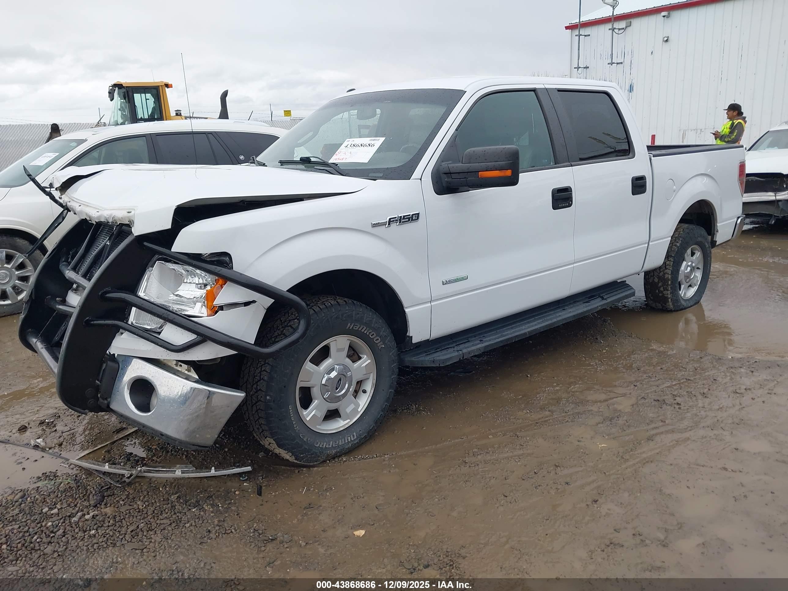FORD F-150 image 2