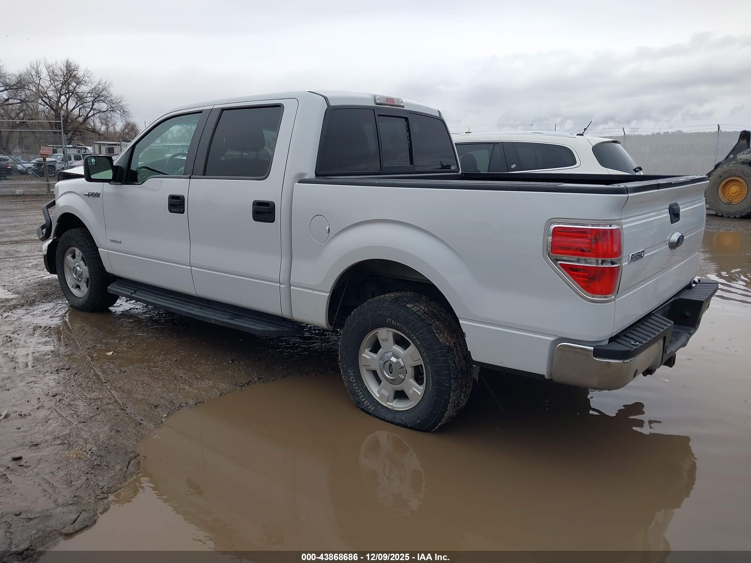 FORD F-150 image 3