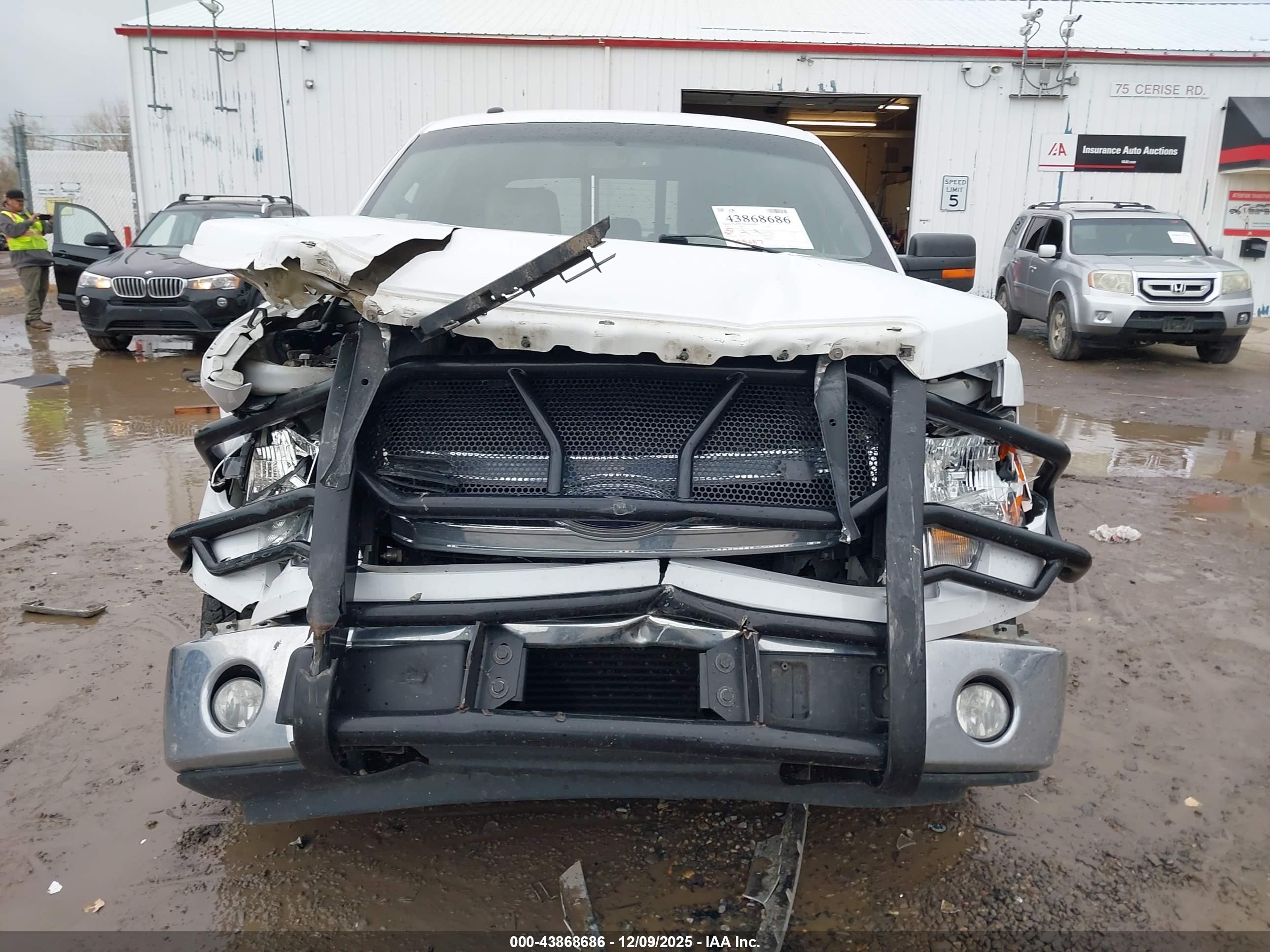 FORD F-150 image 6