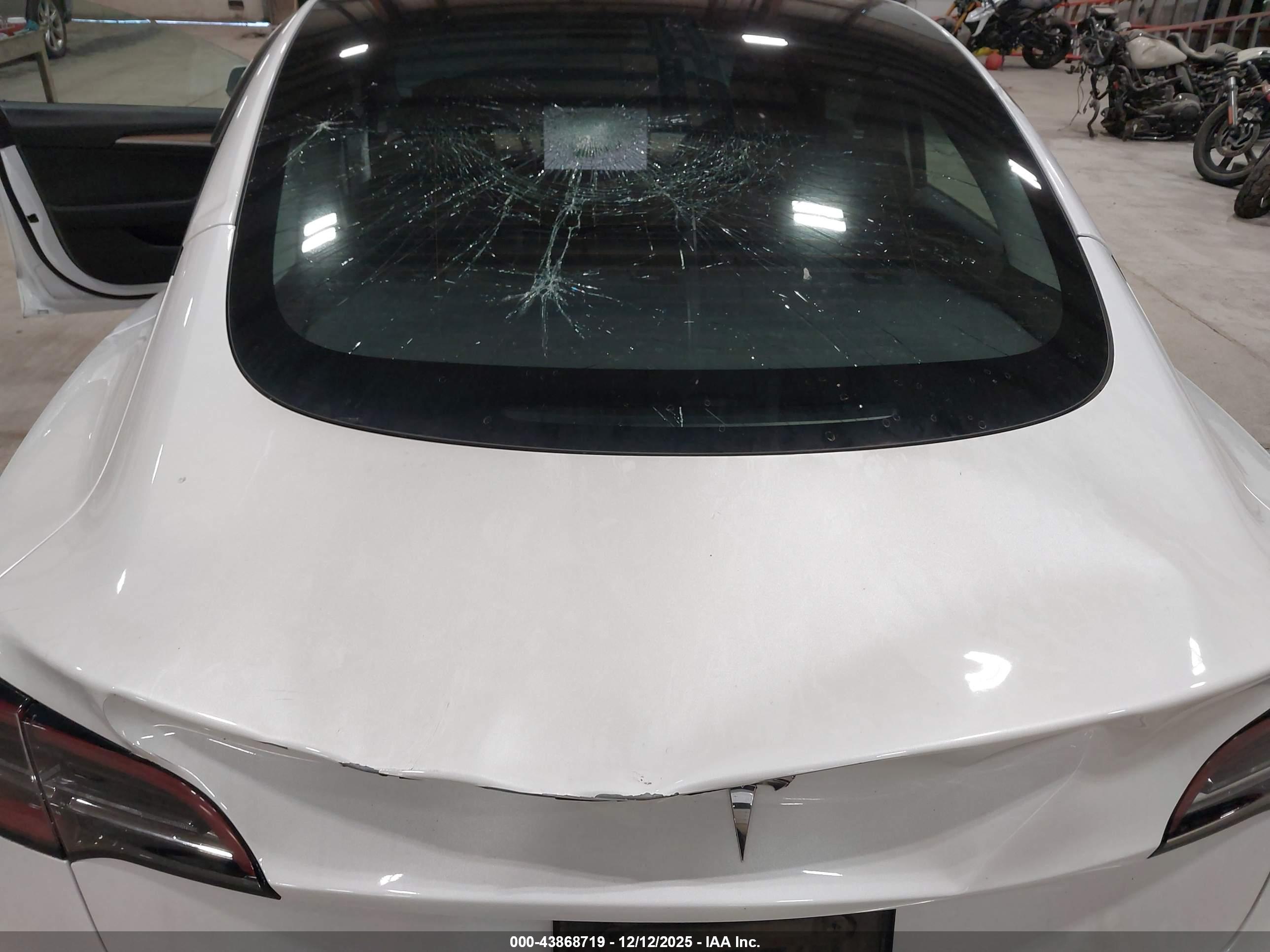 TESLA MODEL image 6