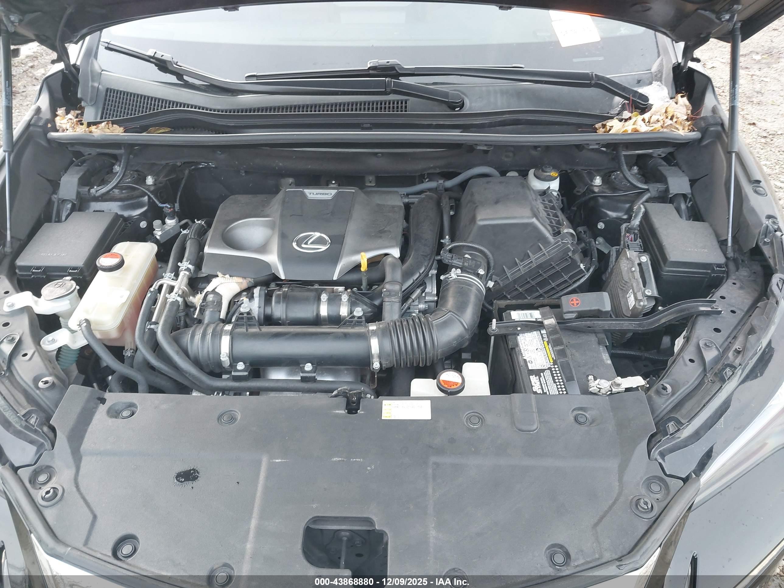 LEXUS NX image 10
