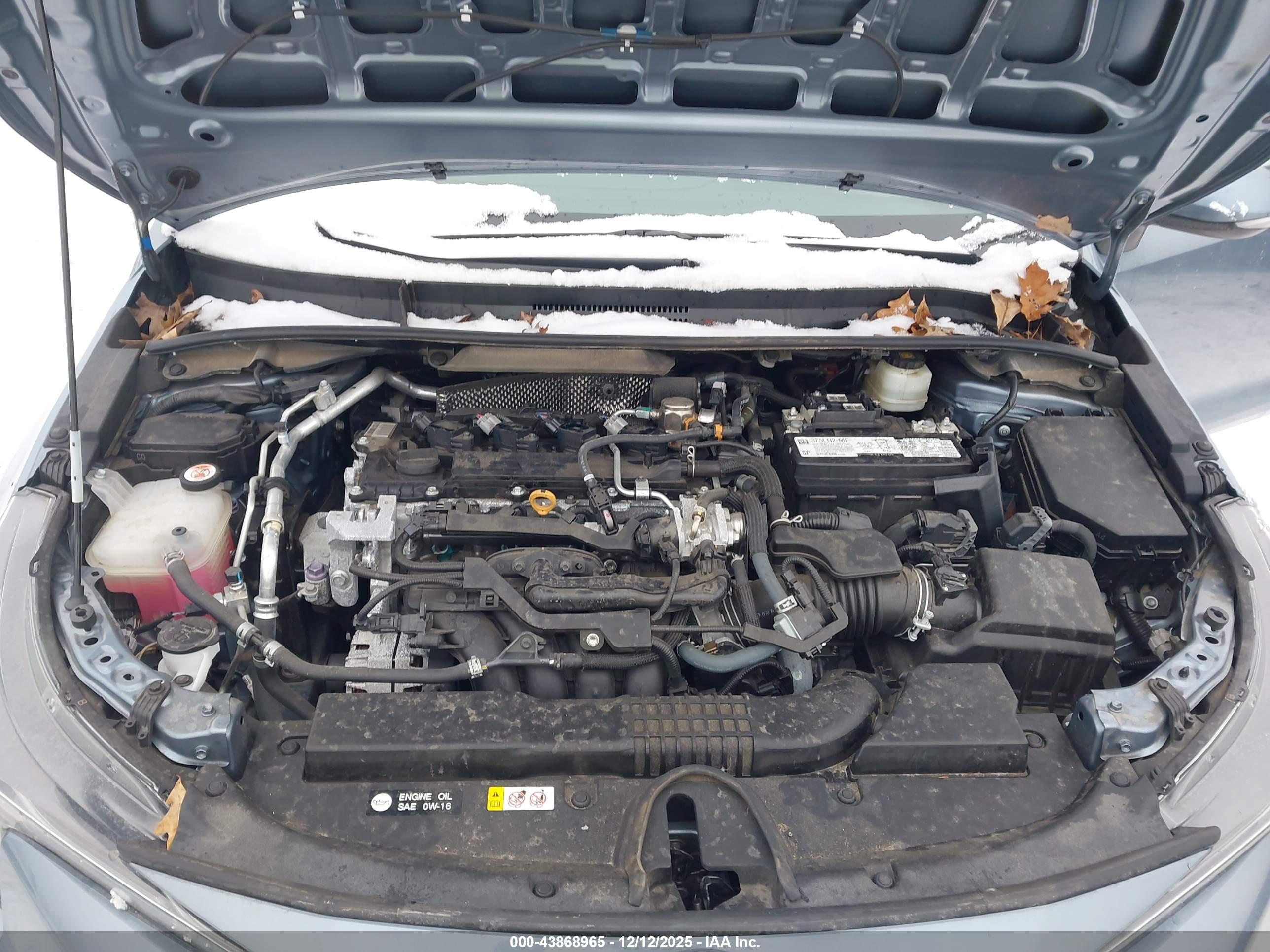 TOYOTA COROLLA image 10