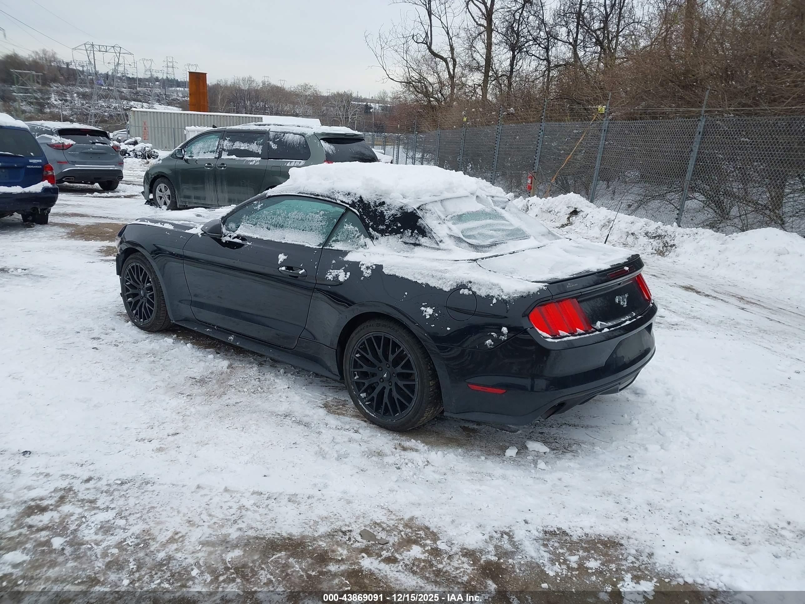 FORD MUSTANG image 3