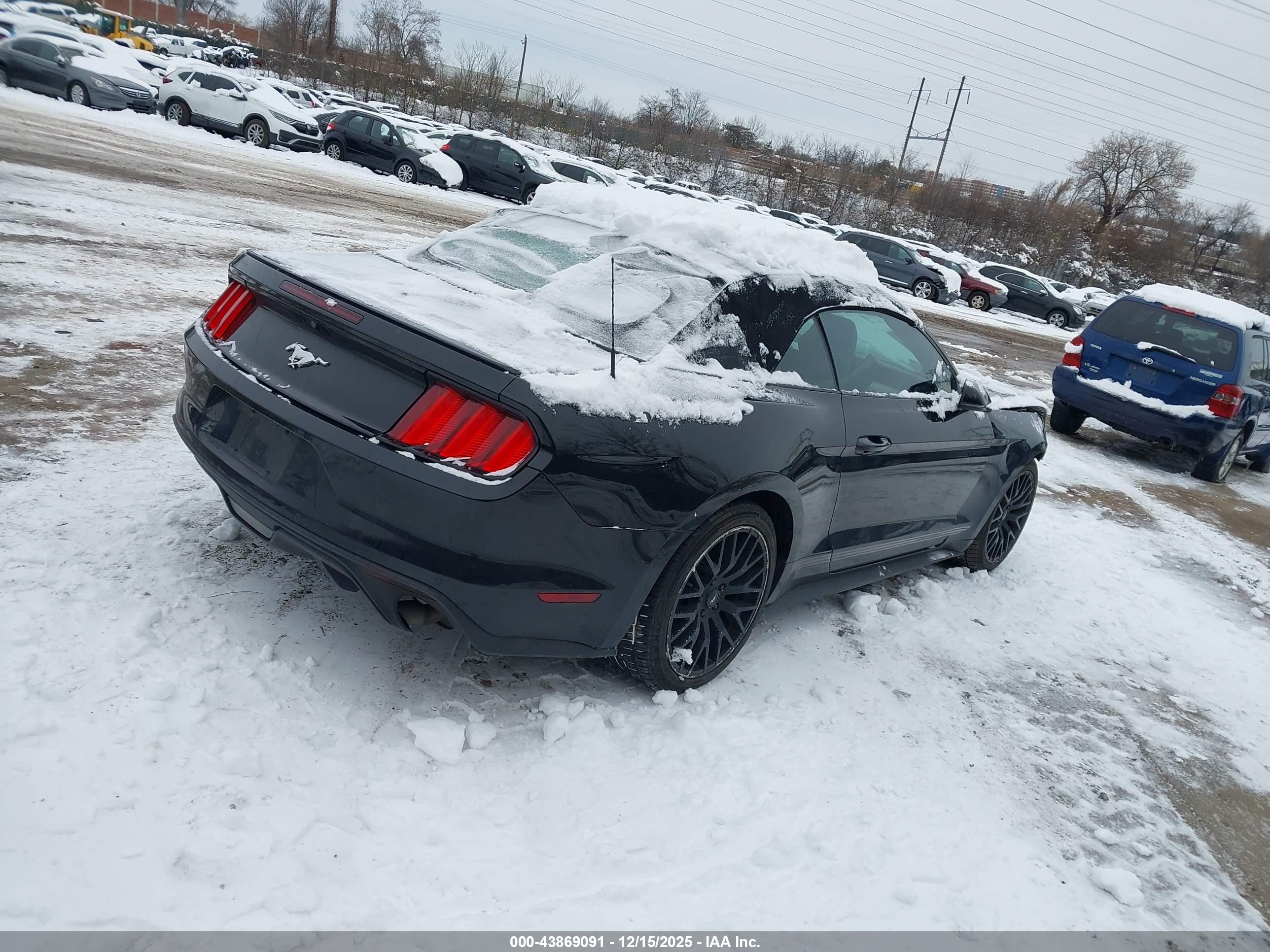 FORD MUSTANG image 4