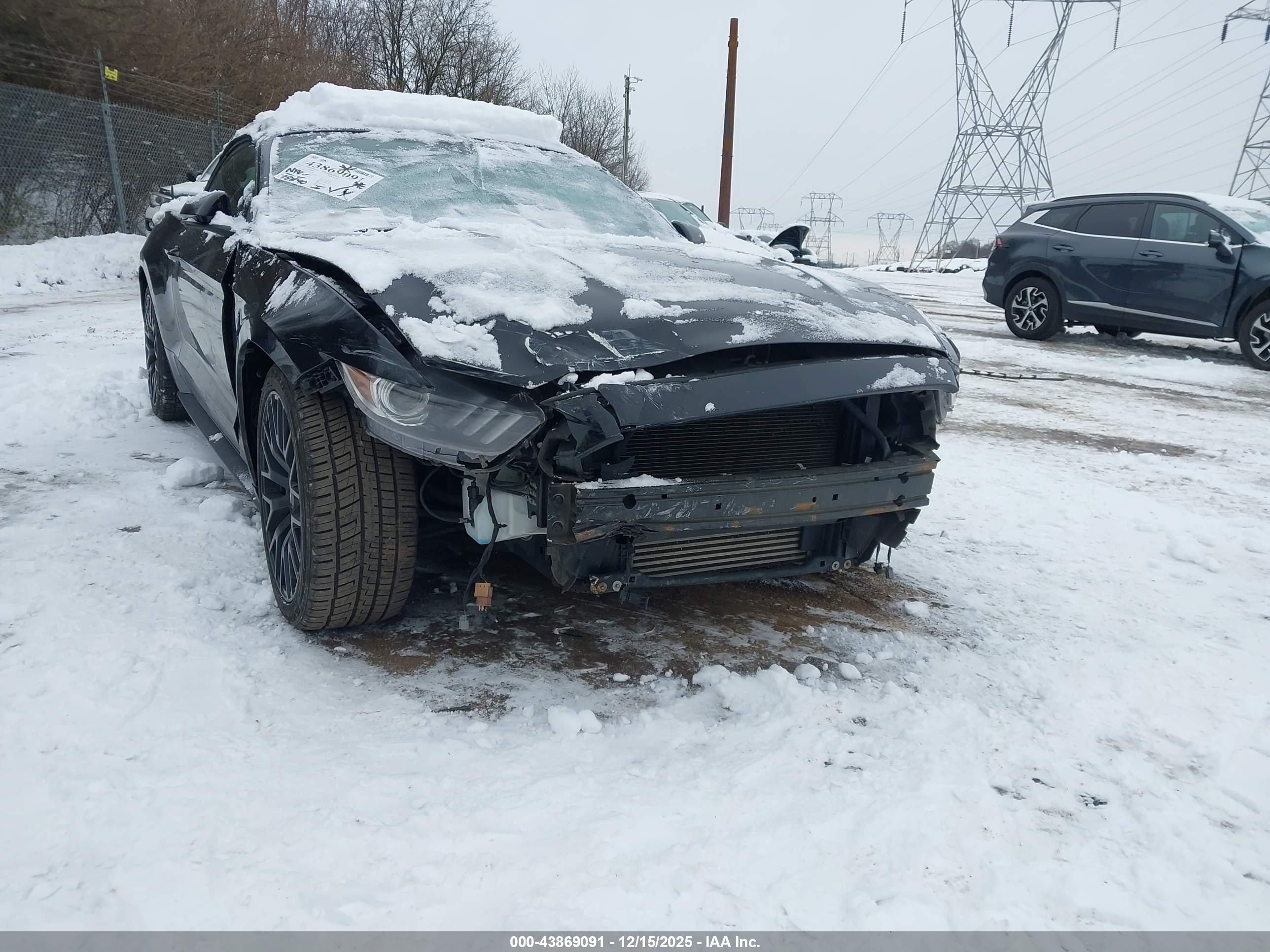 FORD MUSTANG image 6