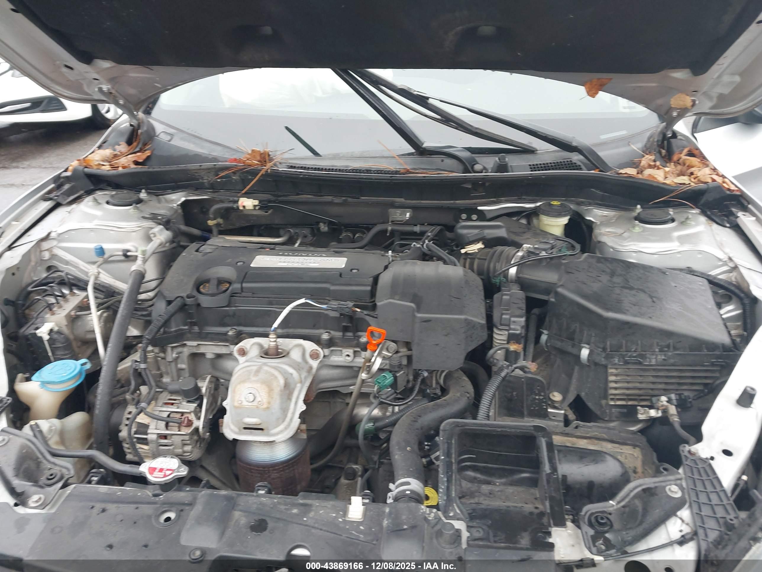 HONDA ACCORD image 10