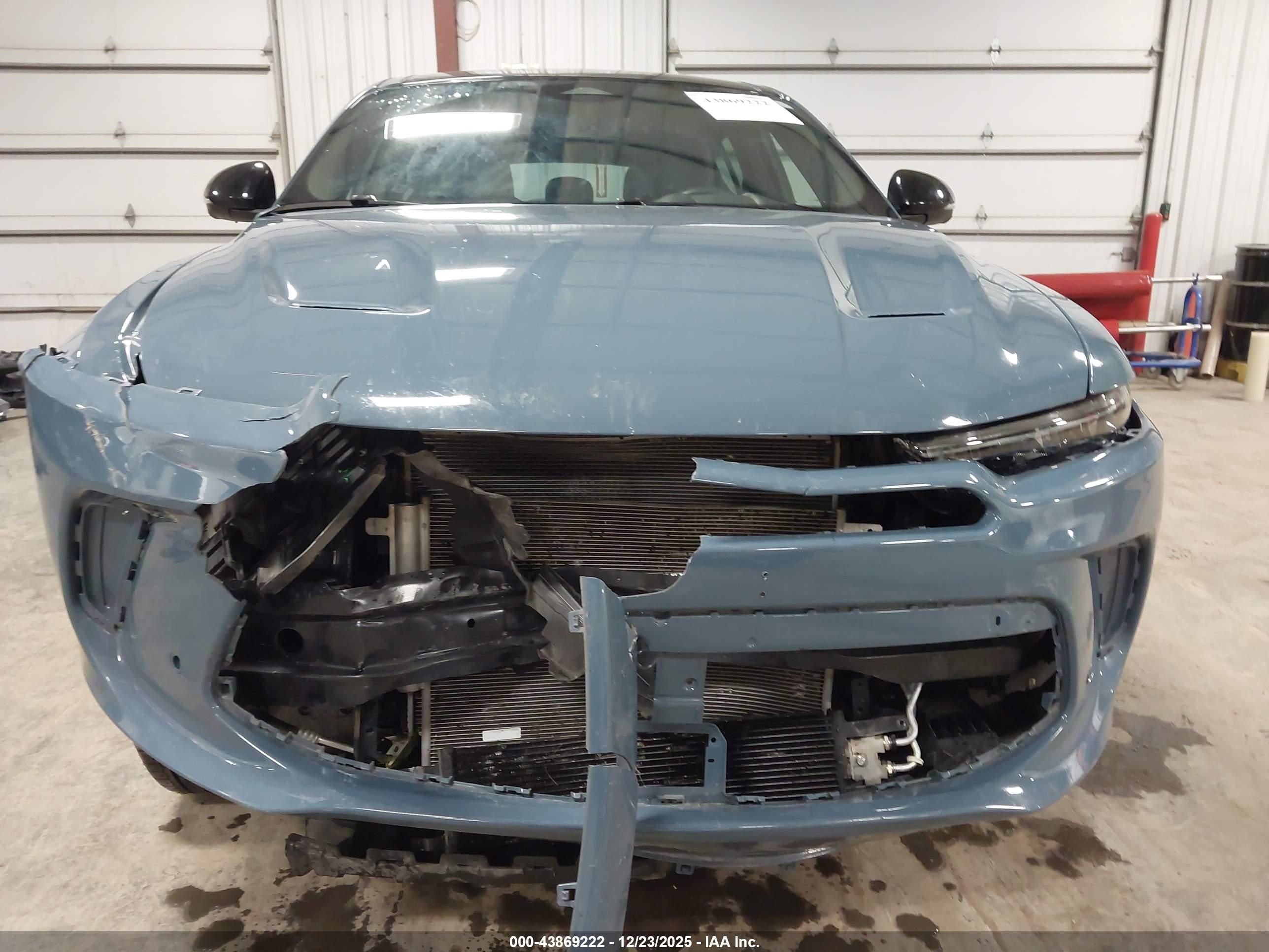 DODGE HORNET image 6