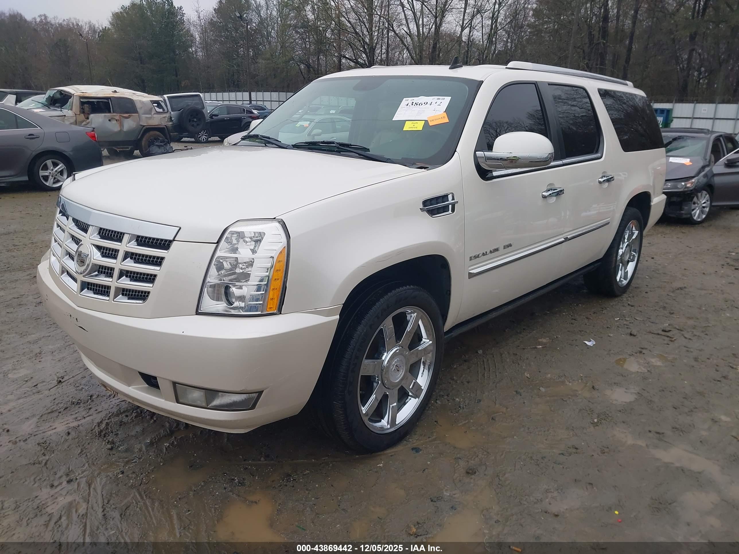 CADILLAC ESCALADE image 2