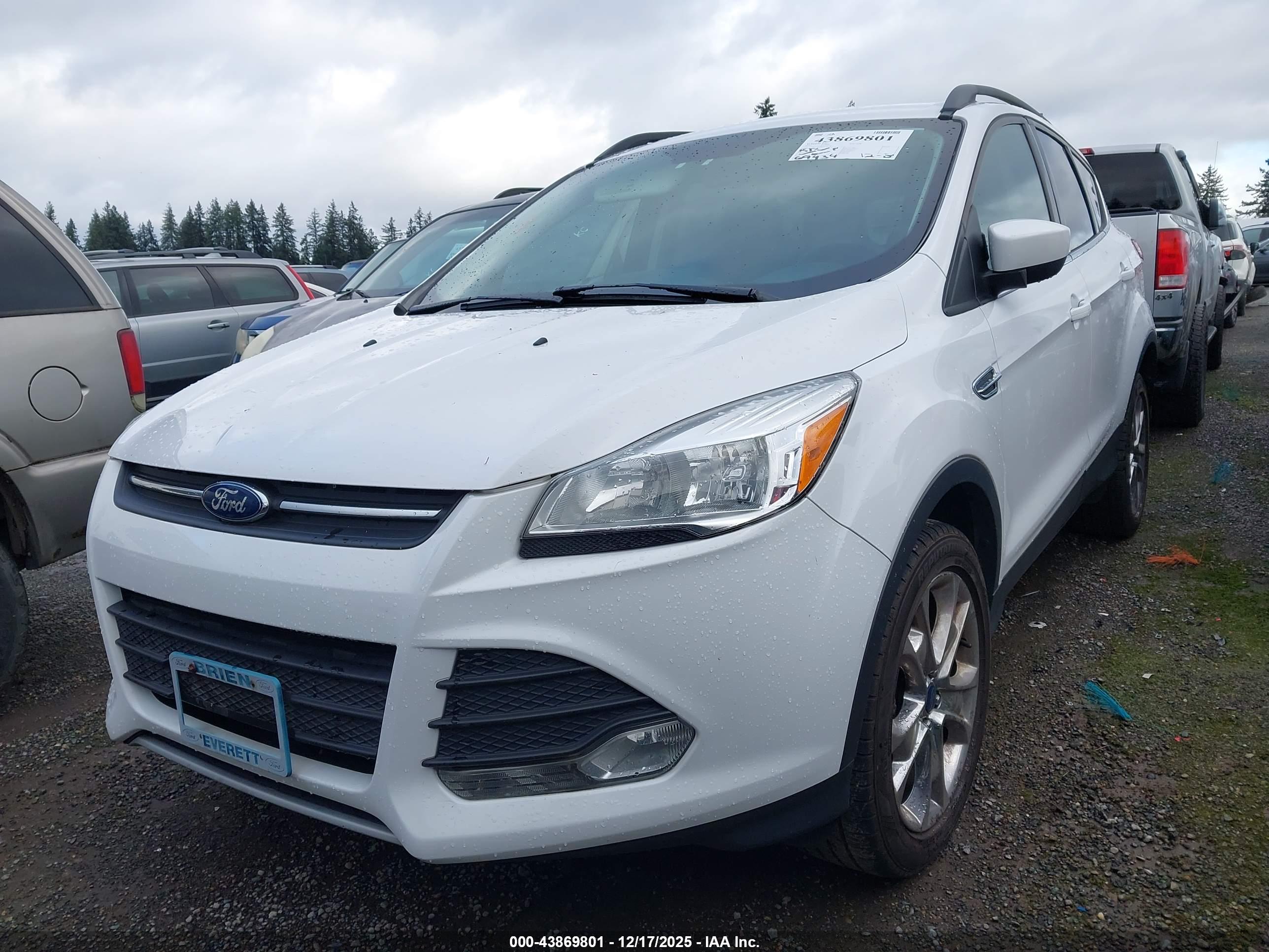 FORD ESCAPE image 2