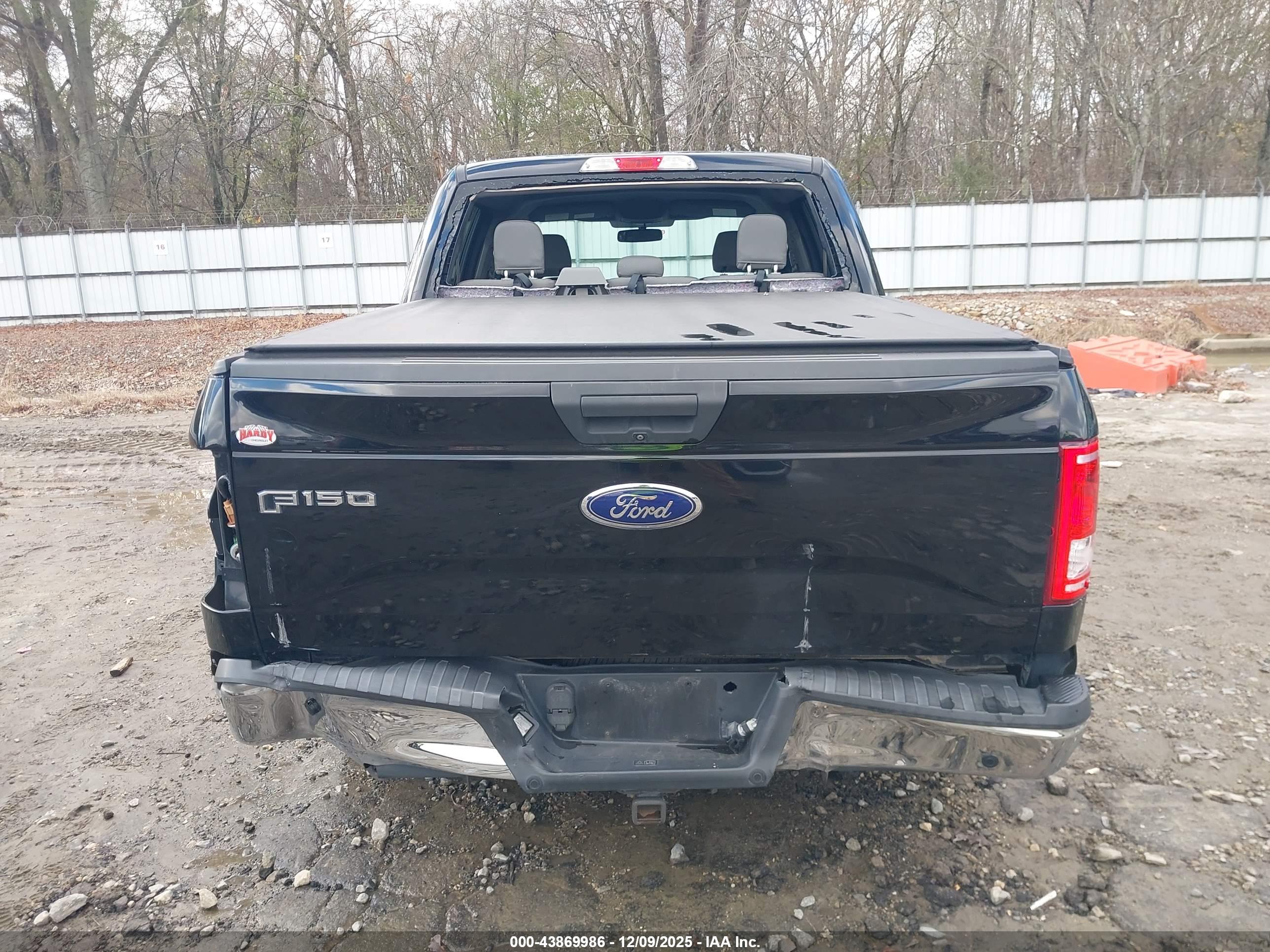 FORD F-150 image 6