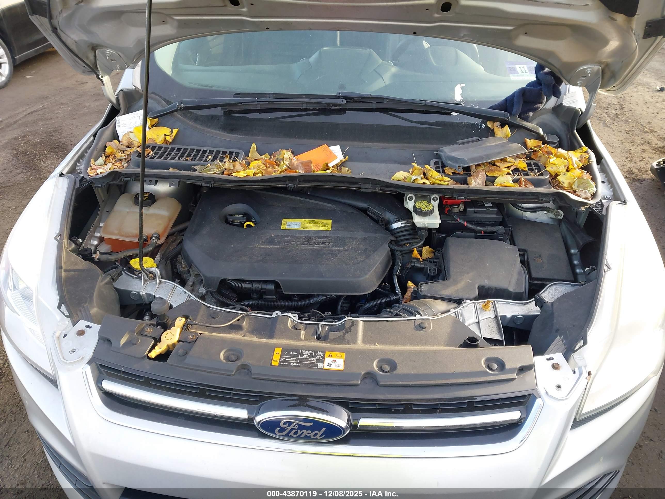 FORD ESCAPE image 10
