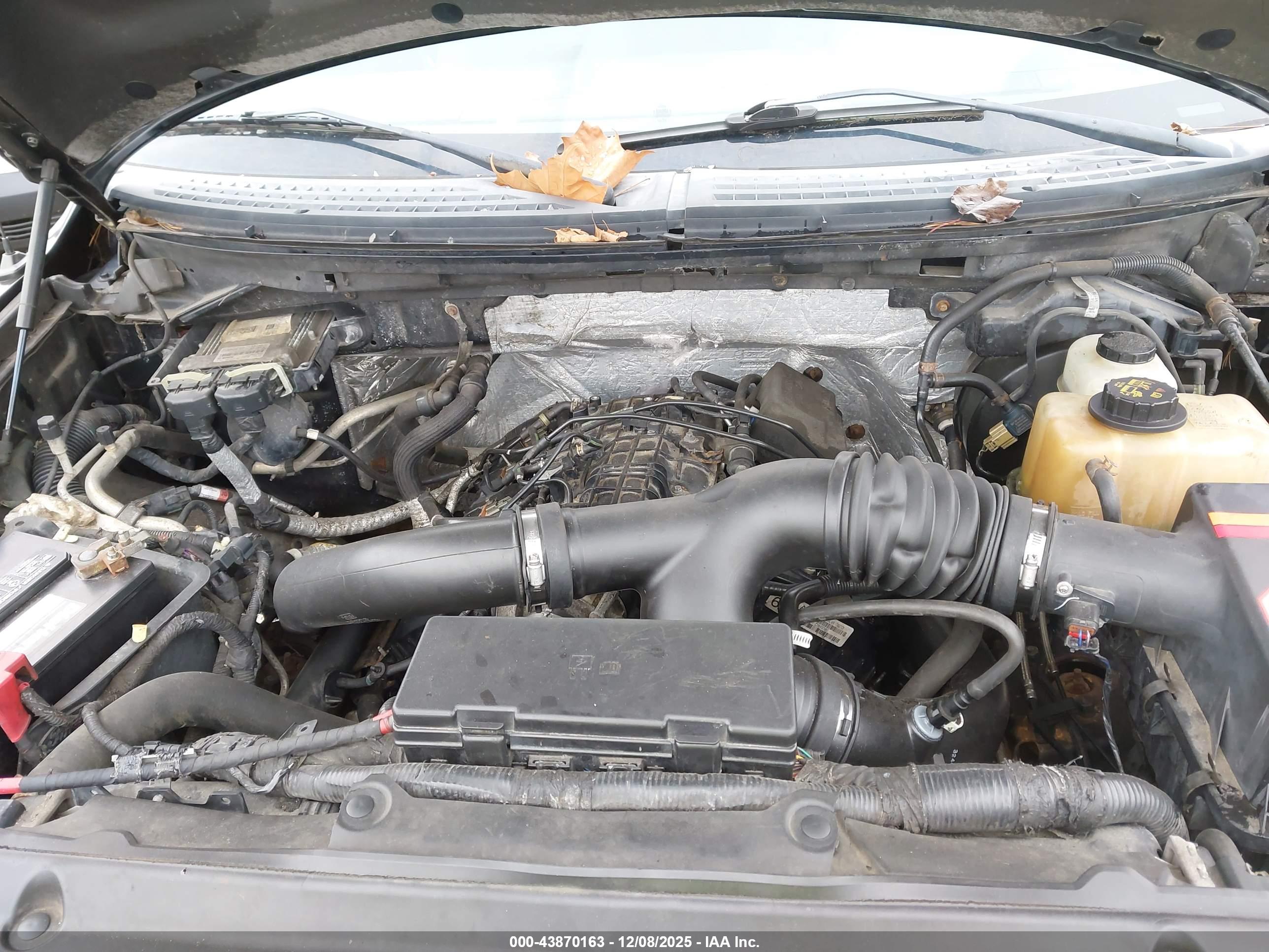 FORD F-150 image 10