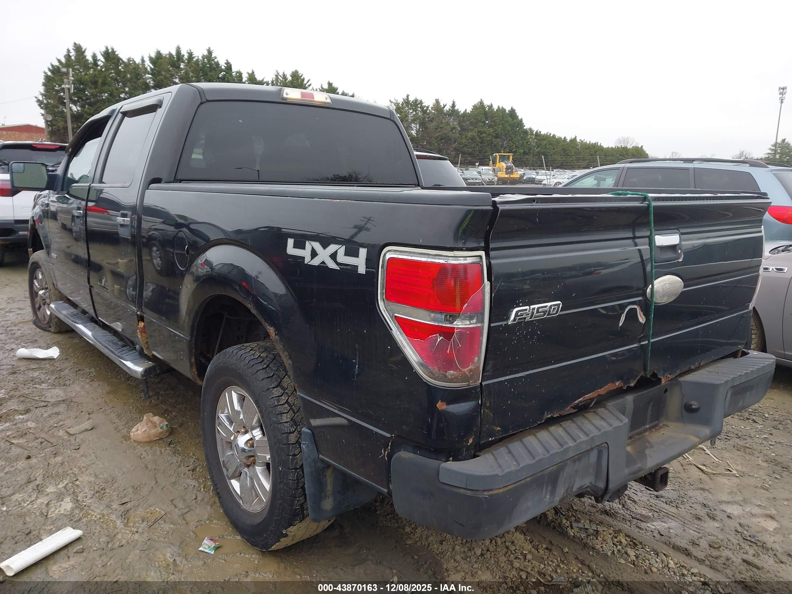 FORD F-150 image 3