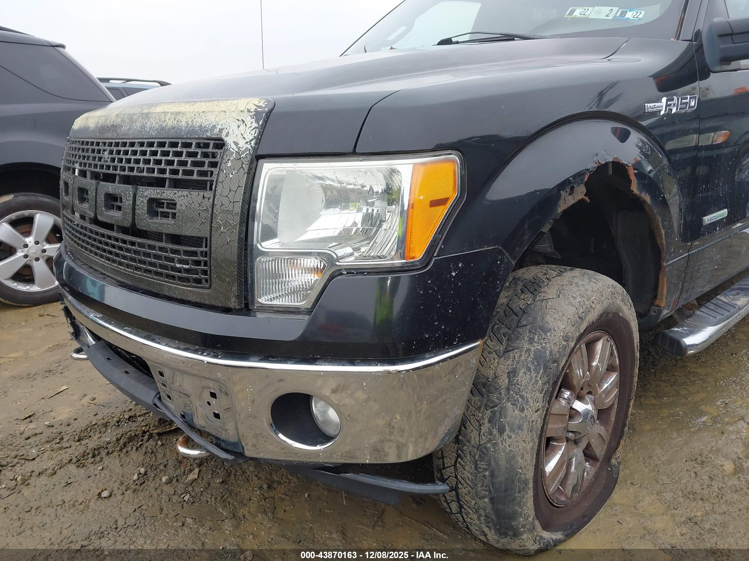 FORD F-150 image 6