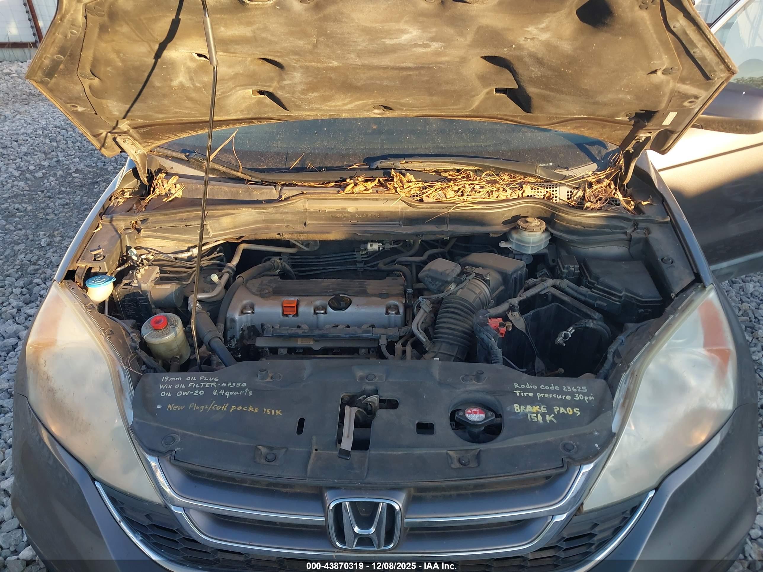 HONDA CR-V image 10