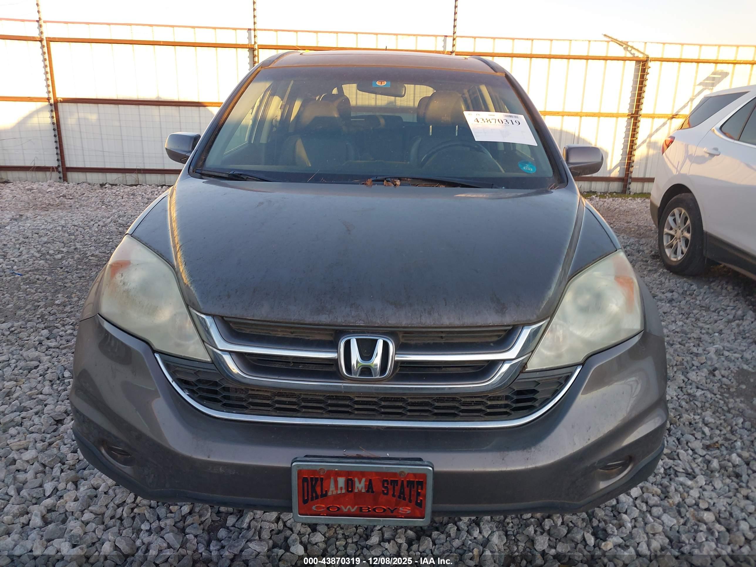 HONDA CR-V image 6