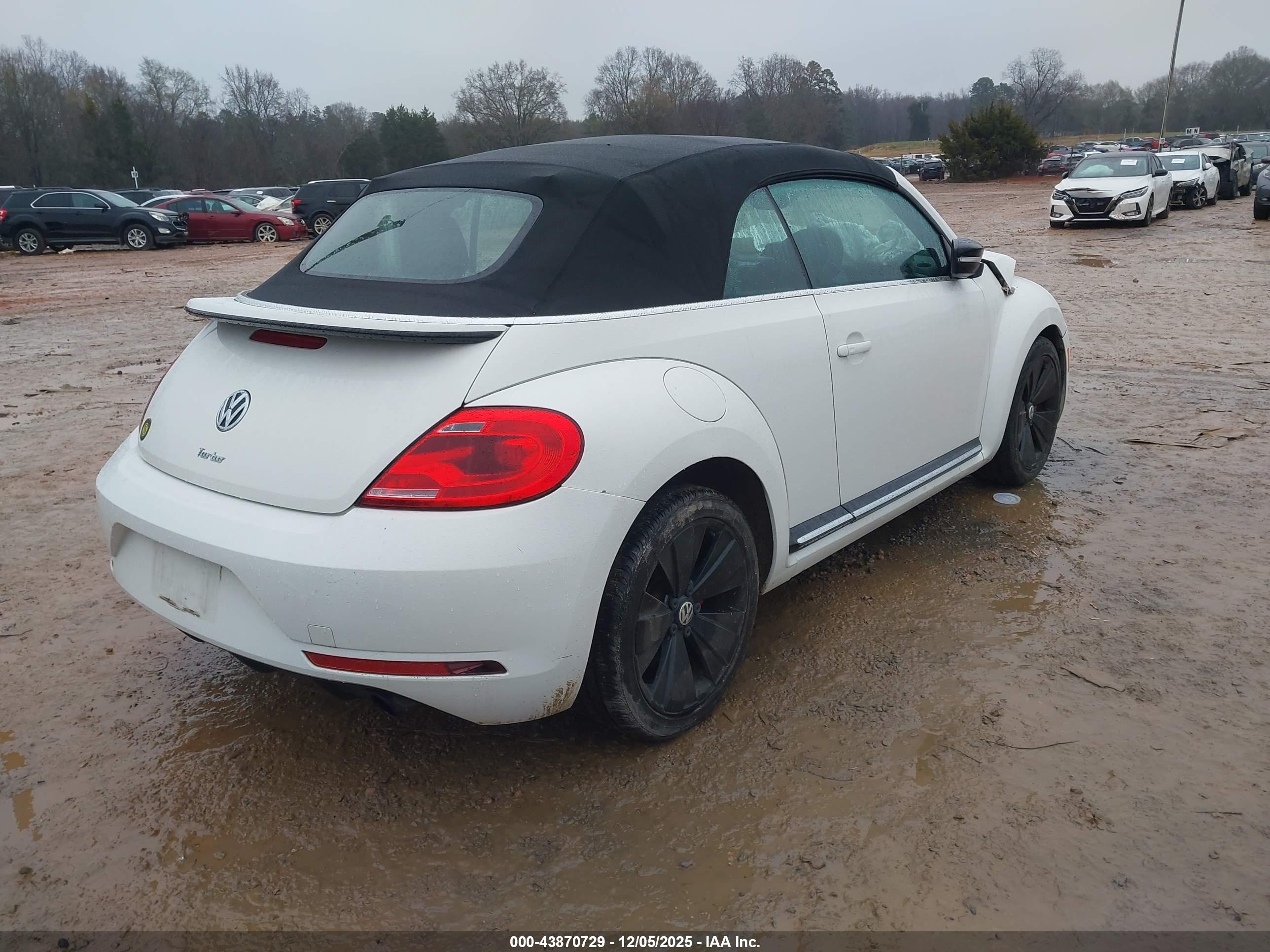 VOLKSWAGEN BEETLE image 4