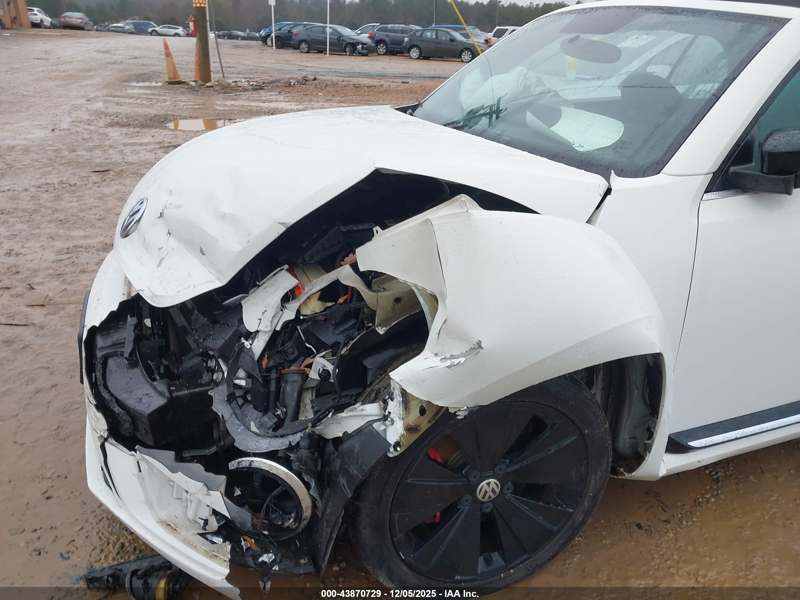 VOLKSWAGEN BEETLE image 6
