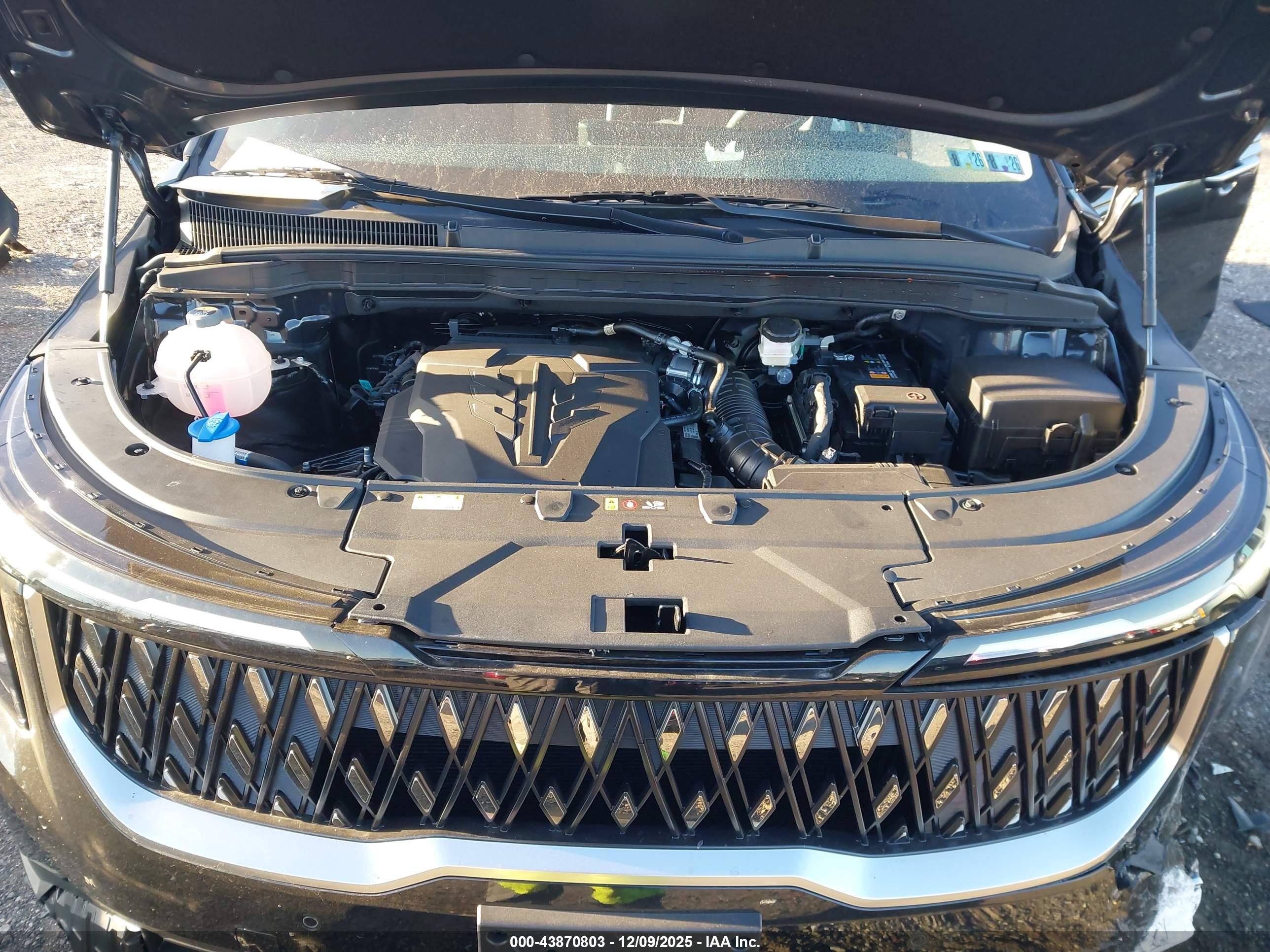 KIA CARNIVAL image 10