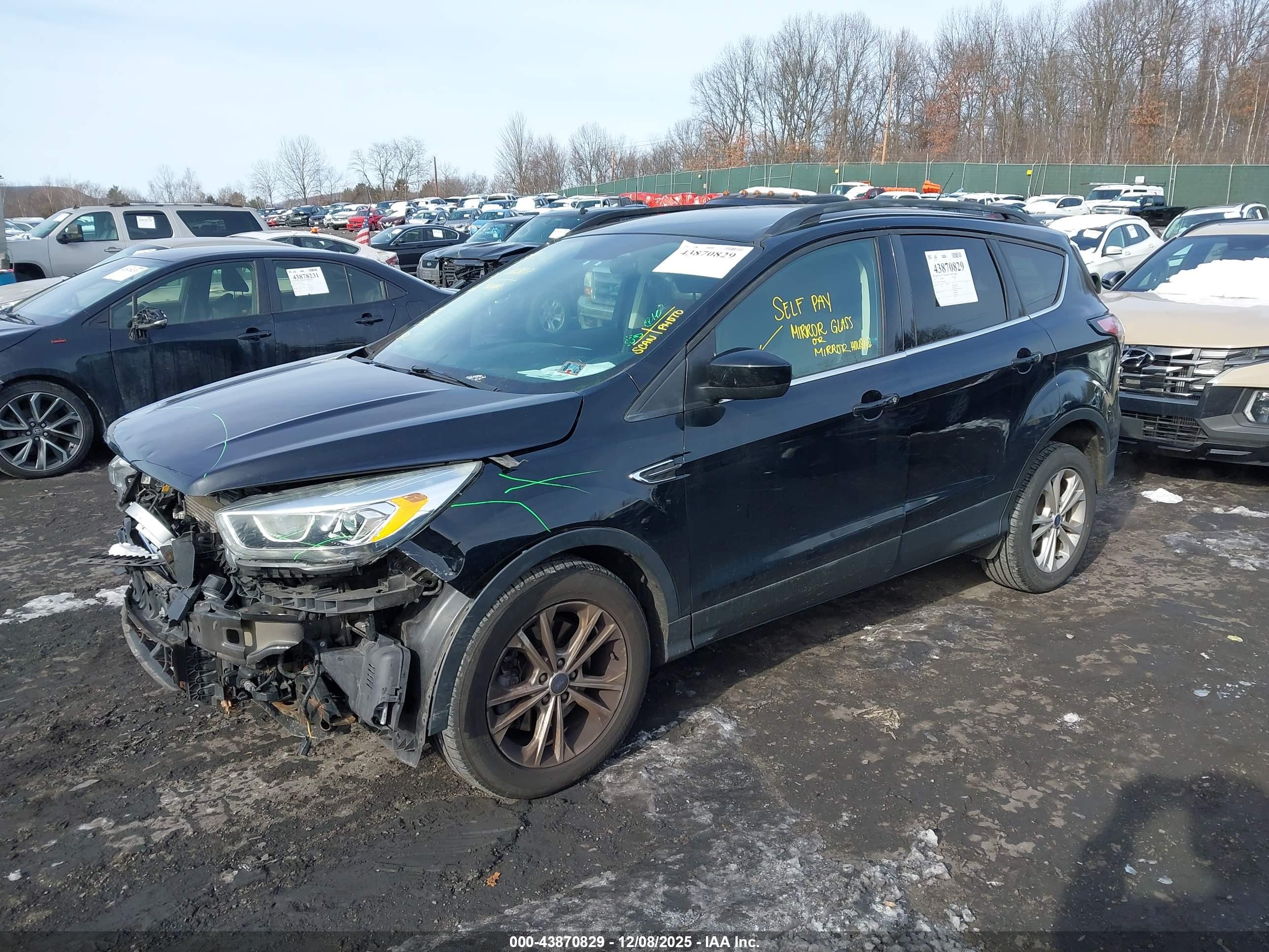 FORD ESCAPE image 2