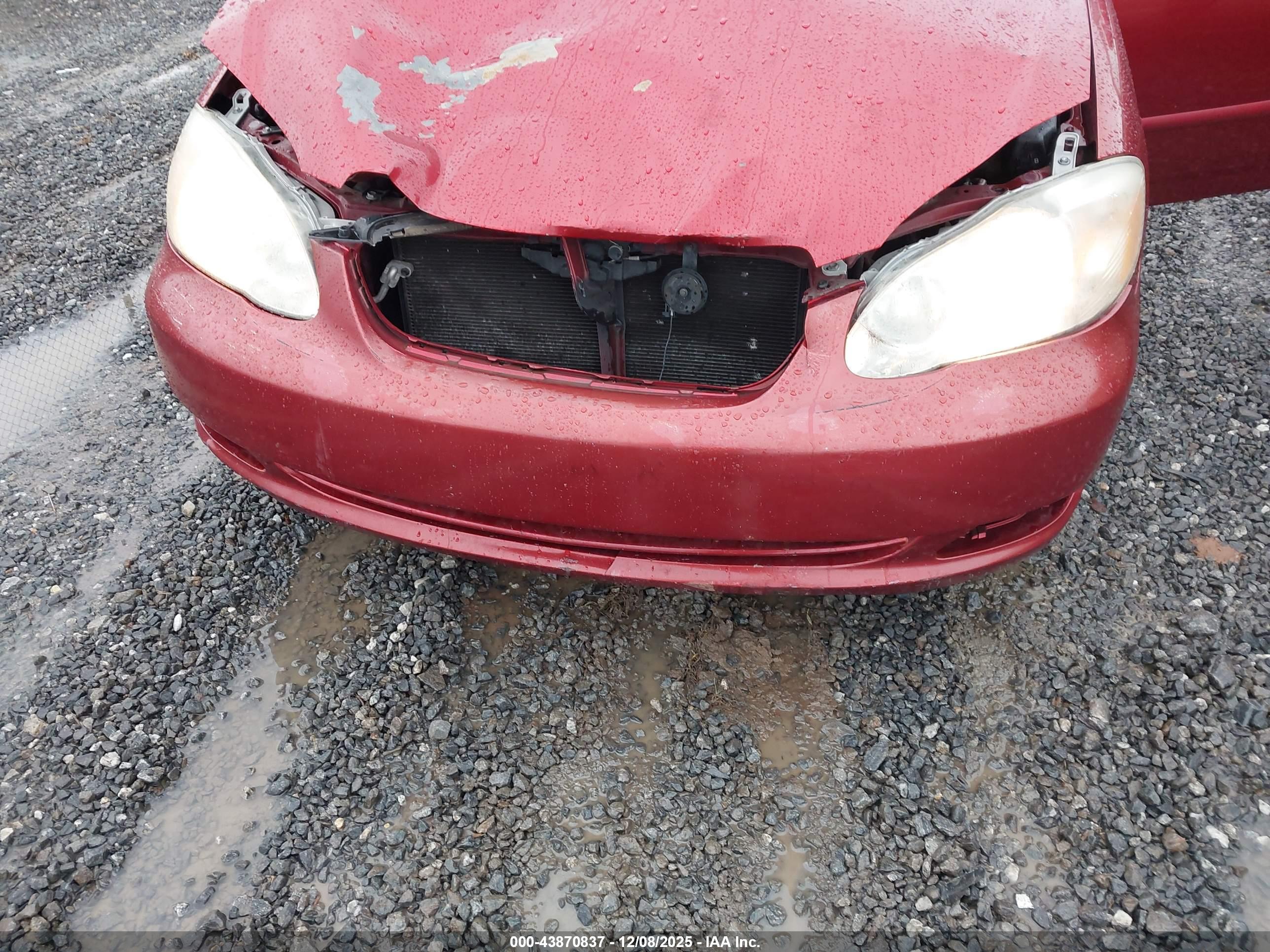 TOYOTA COROLLA image 6