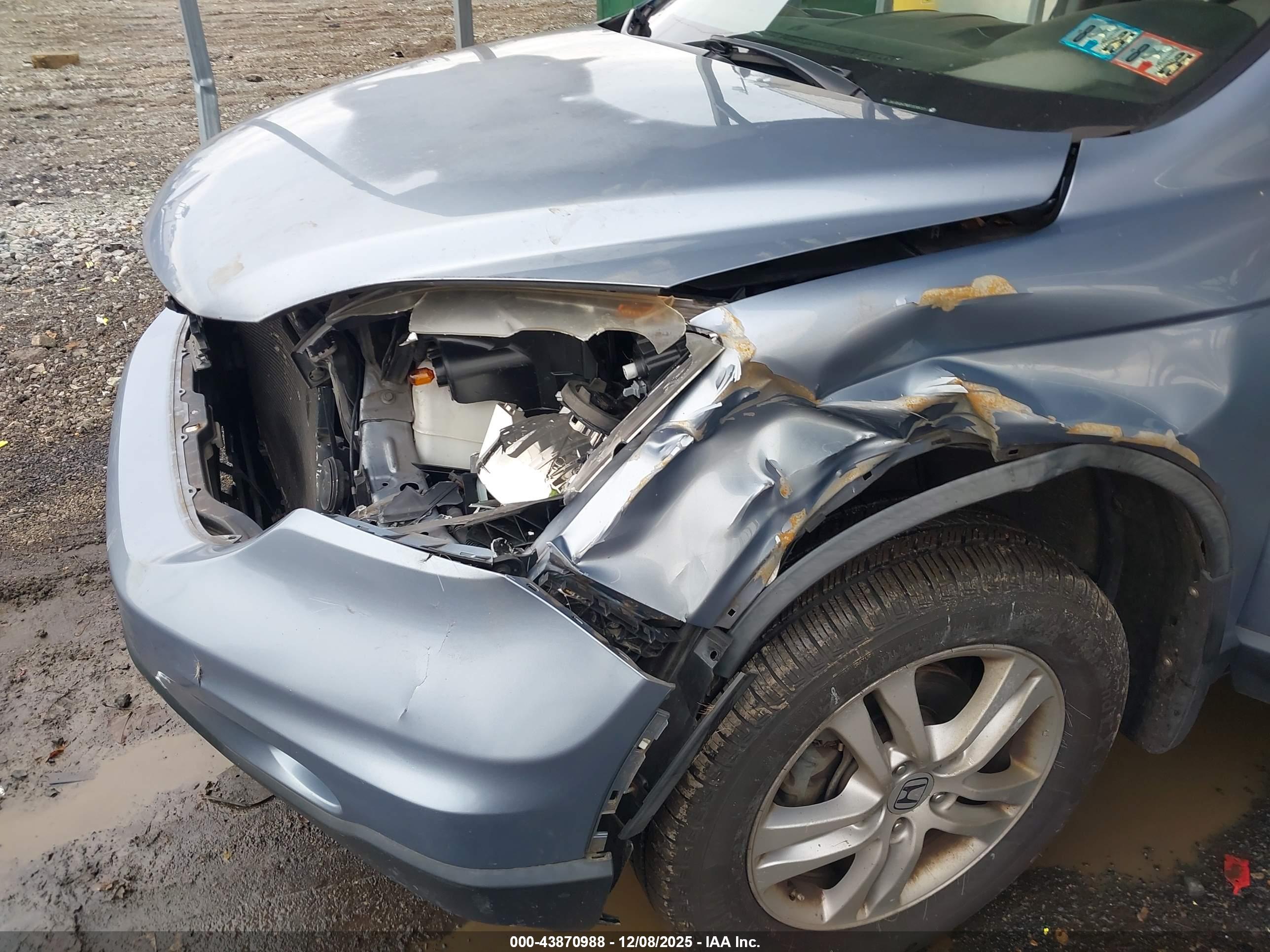 HONDA CR-V image 6