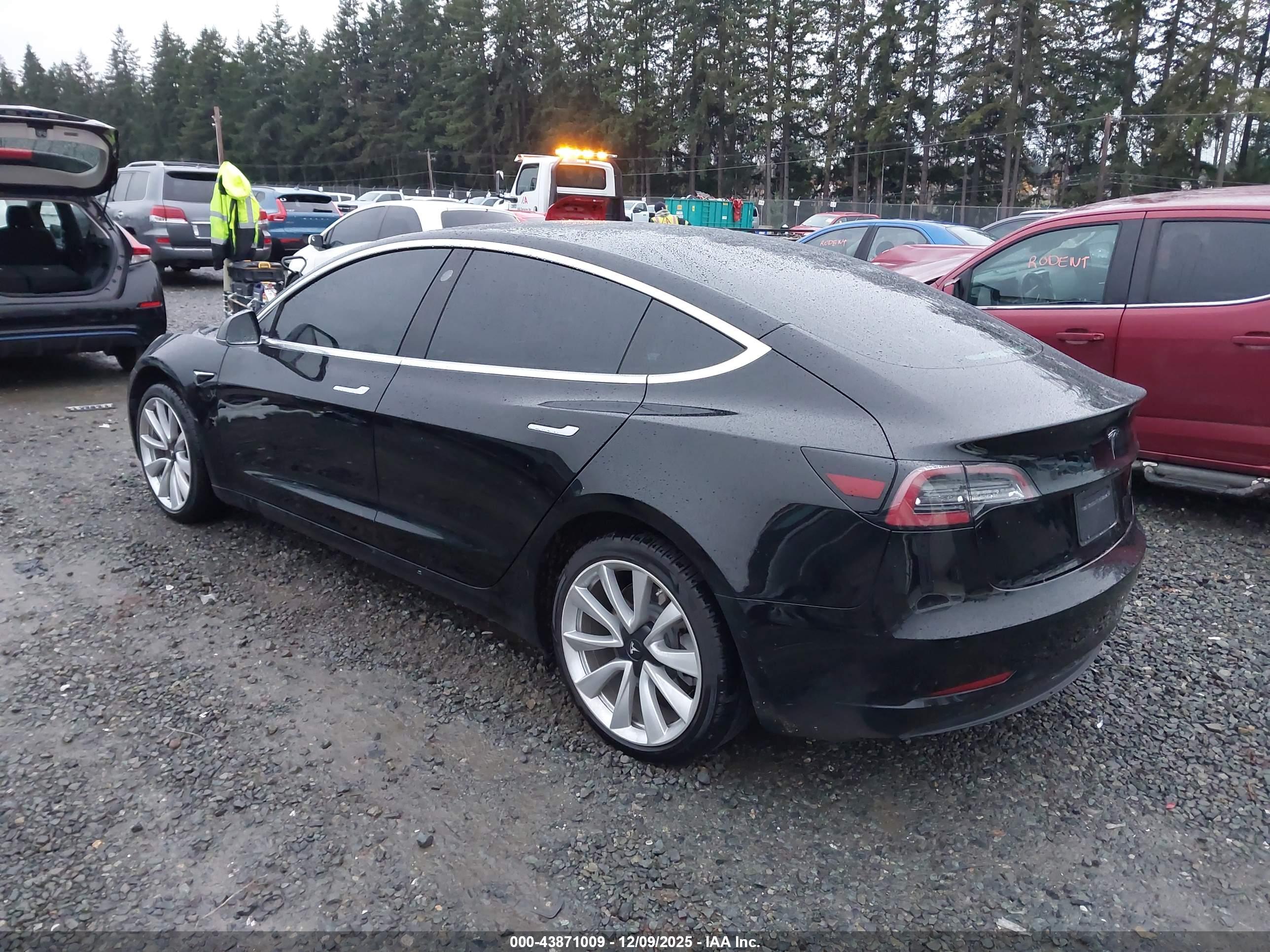 TESLA MODEL image 3