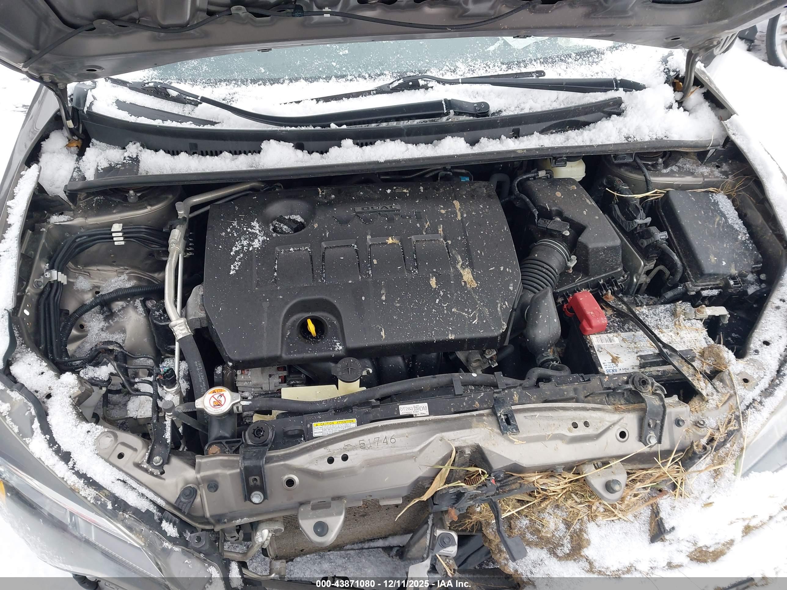 TOYOTA COROLLA image 10