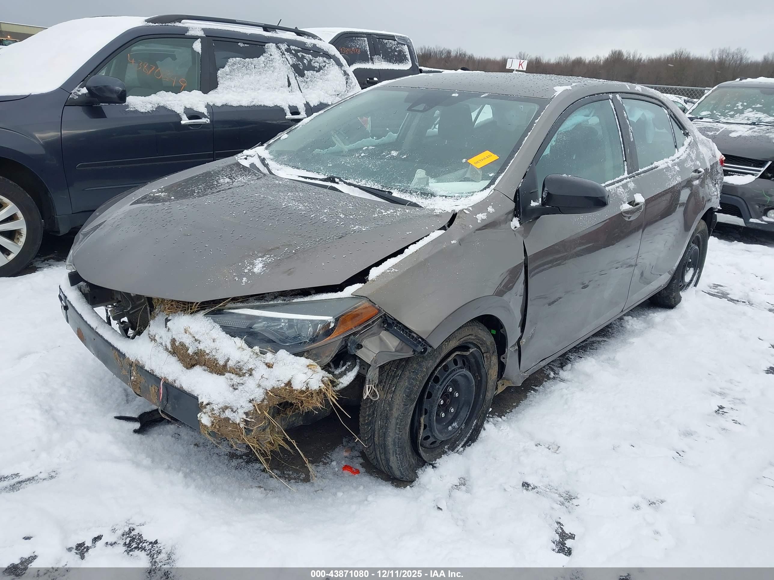 TOYOTA COROLLA image 2