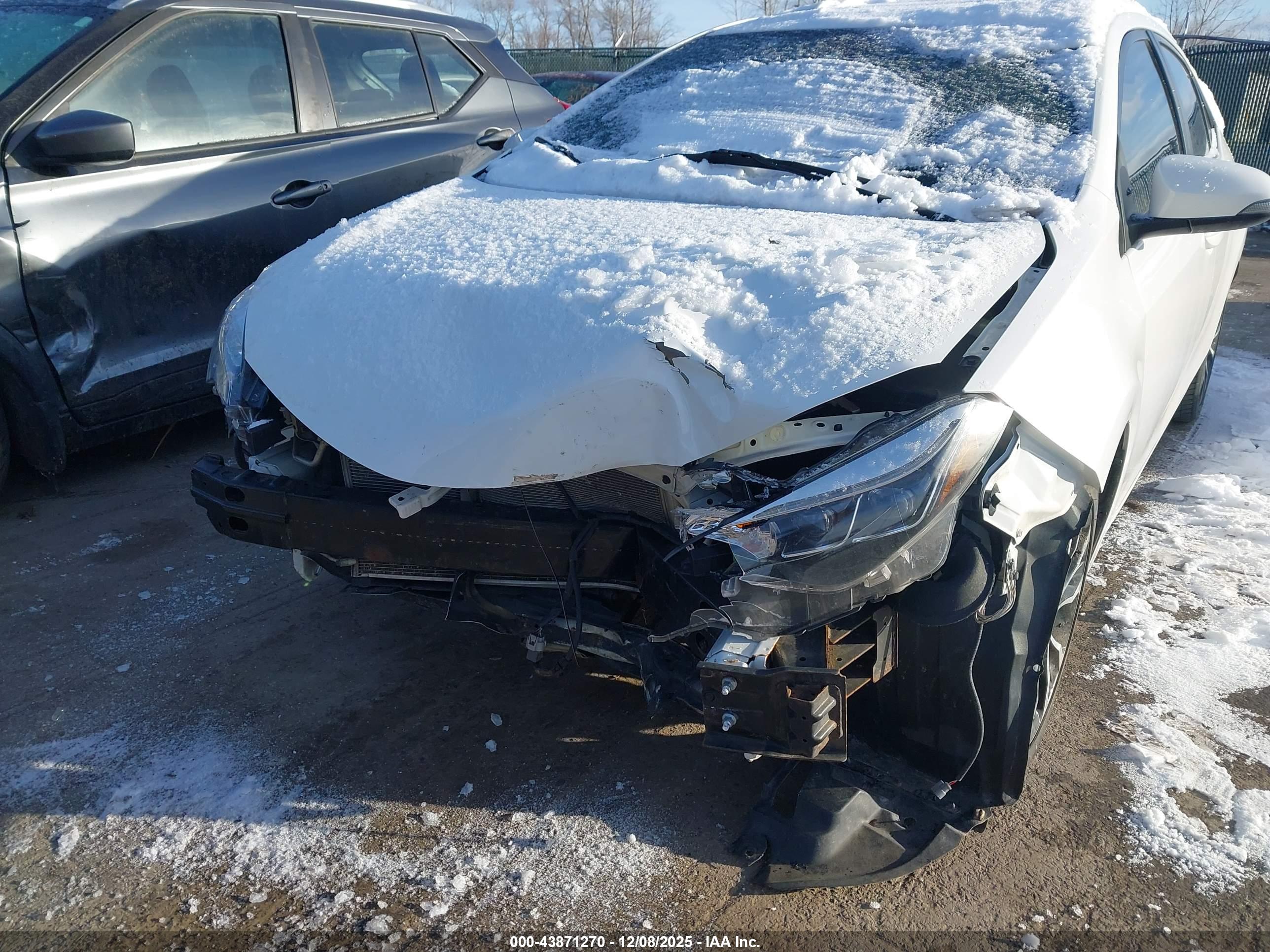 TOYOTA COROLLA image 6