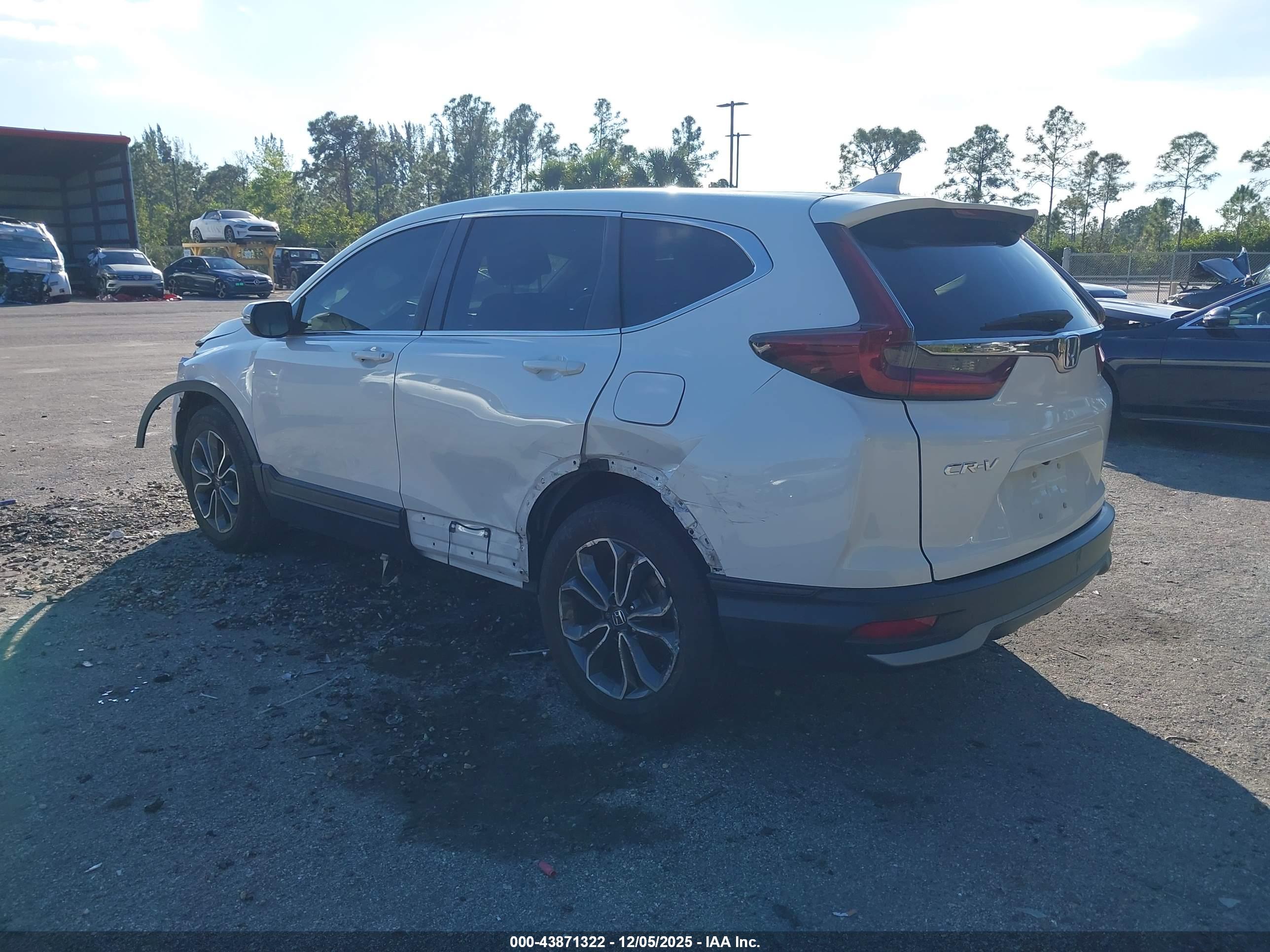 HONDA CR-V image 3