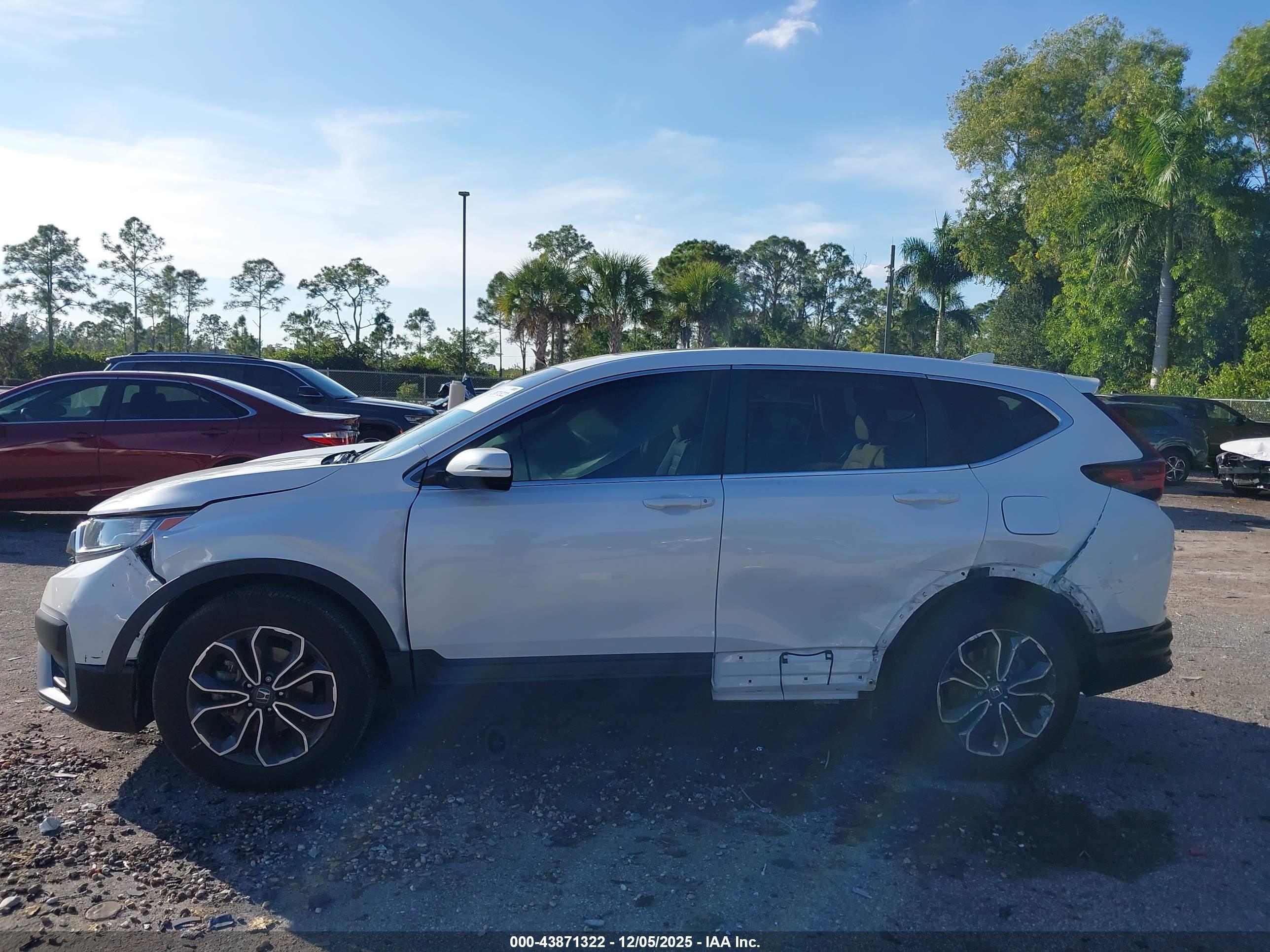 HONDA CR-V image 6