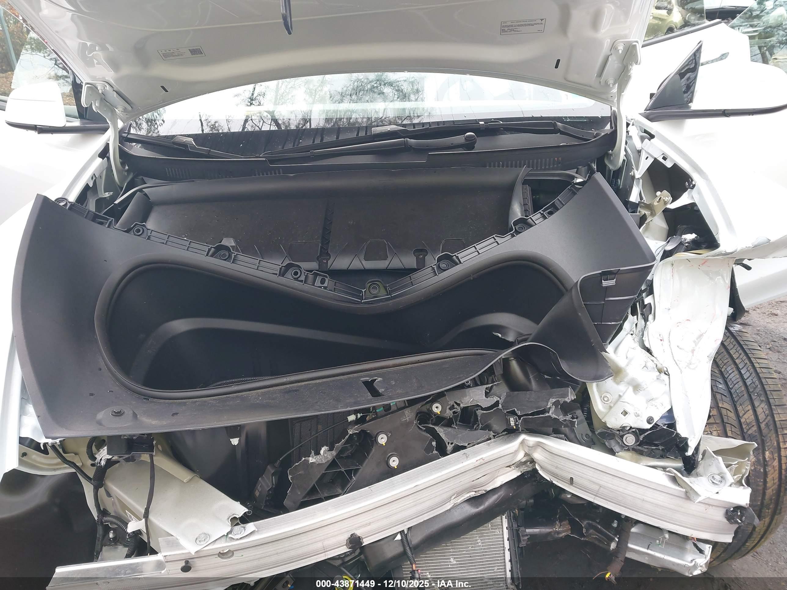 TESLA MODEL image 10