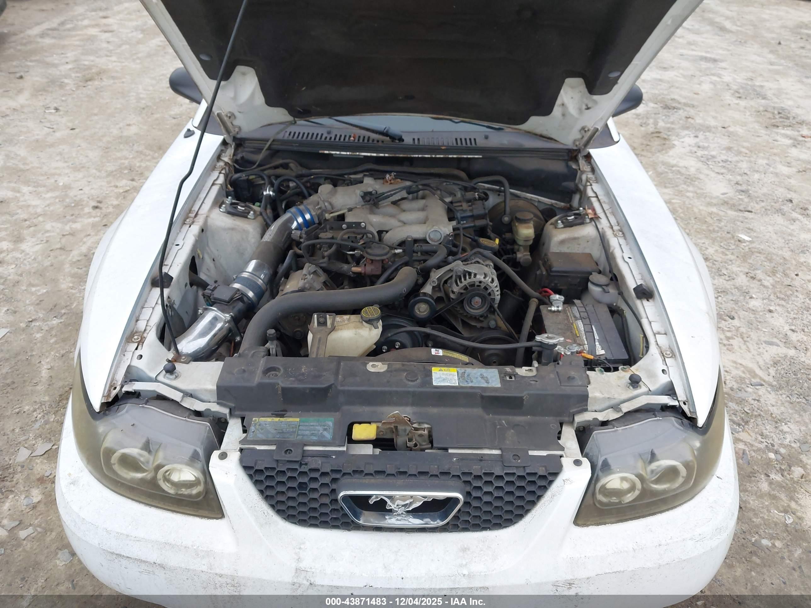 FORD MUSTANG image 10