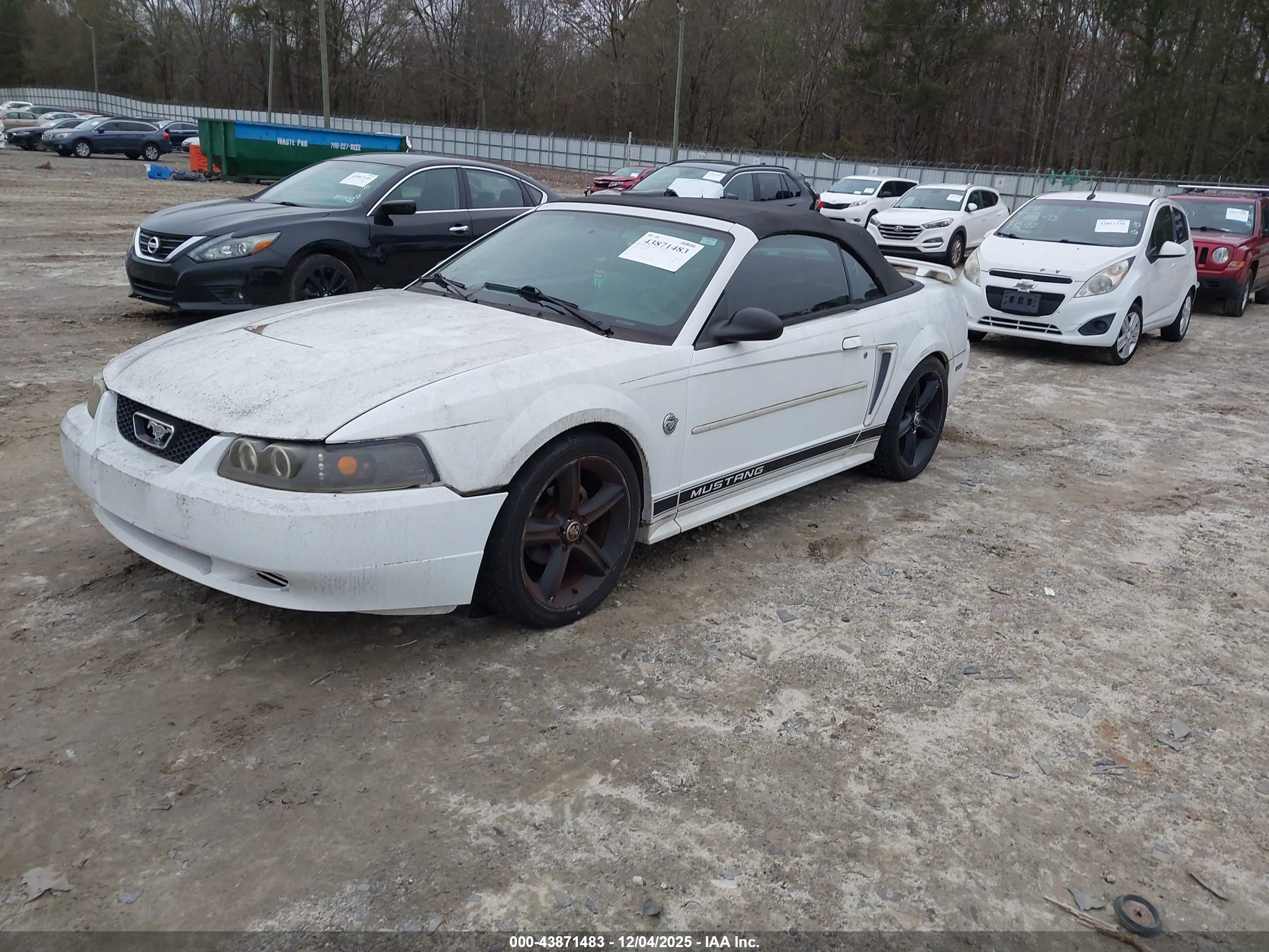 FORD MUSTANG image 2
