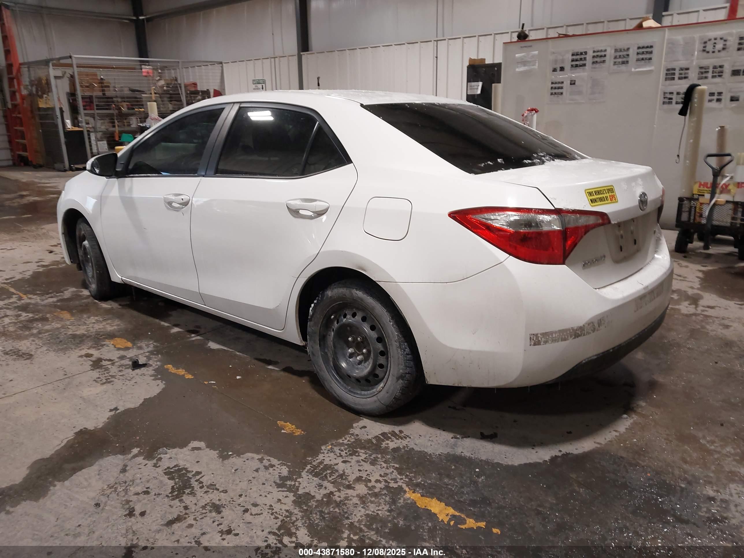 TOYOTA COROLLA image 3