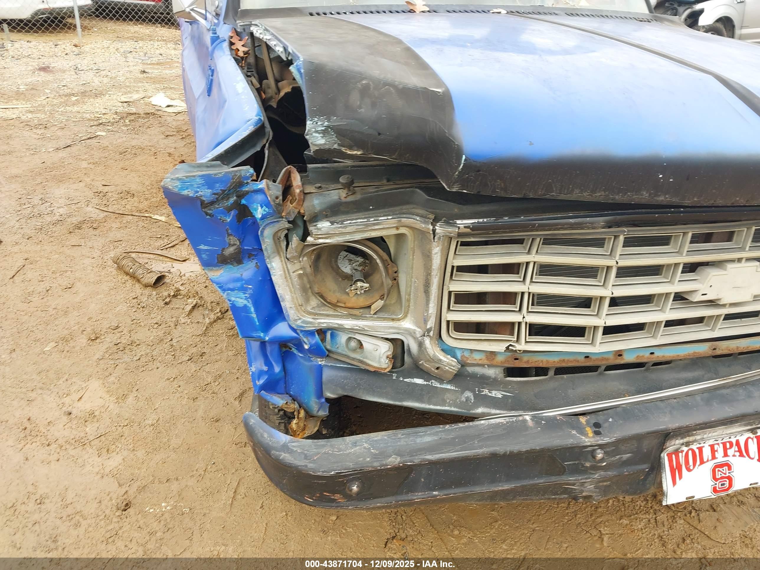 CHEVROLET 10/1500 image 6
