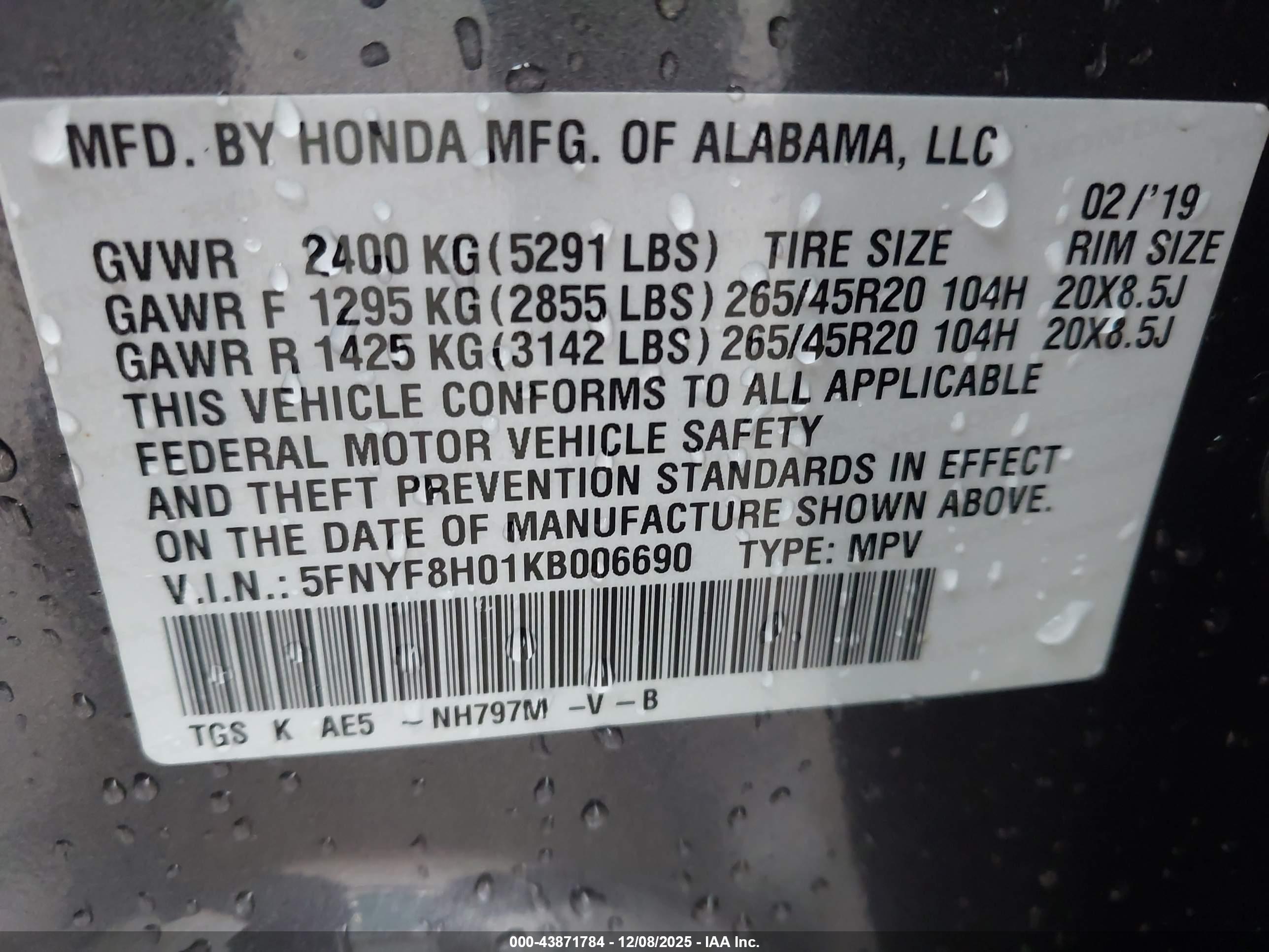 HONDA PASSPORT image 9