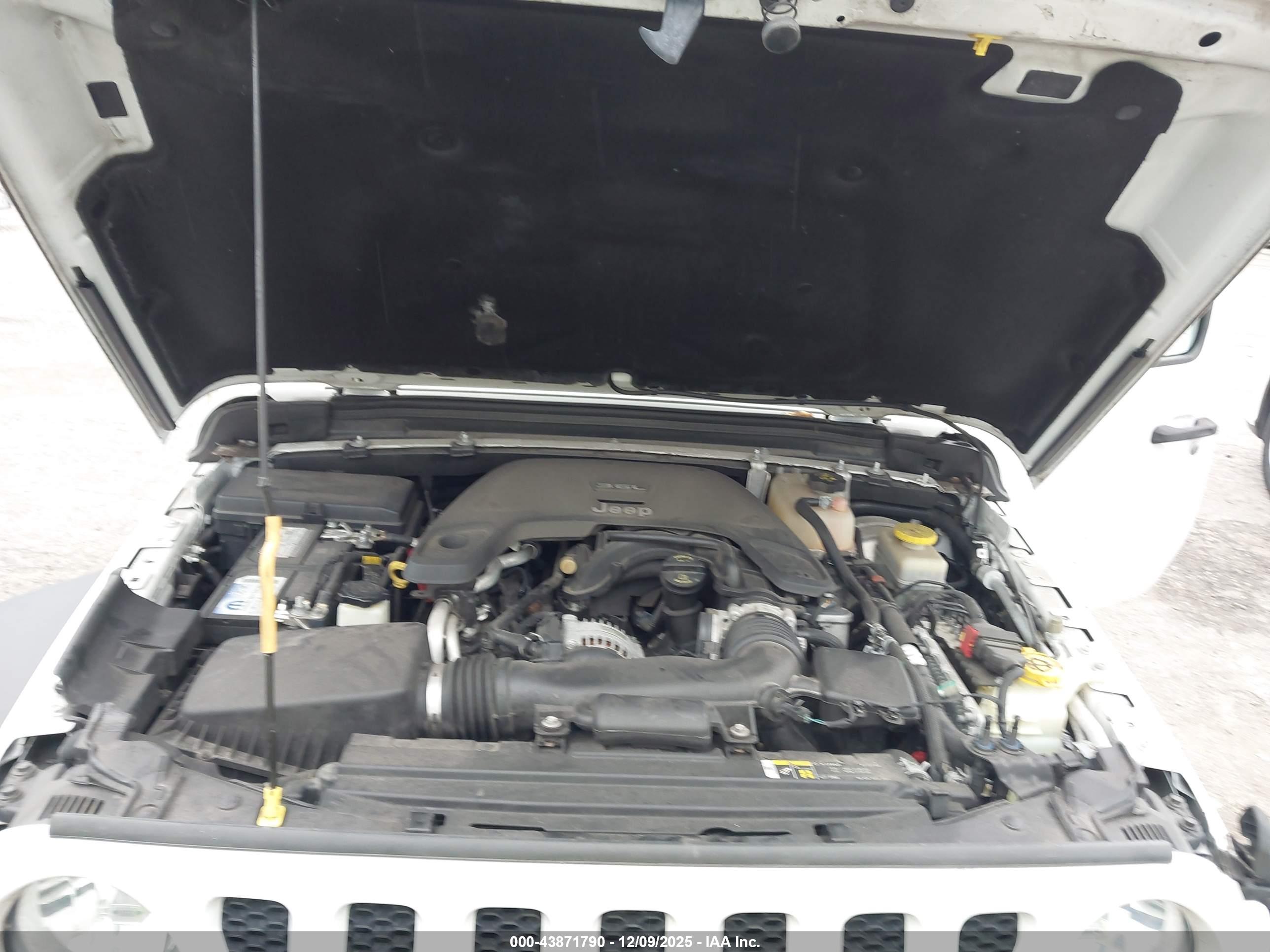 JEEP WRANGLER image 10