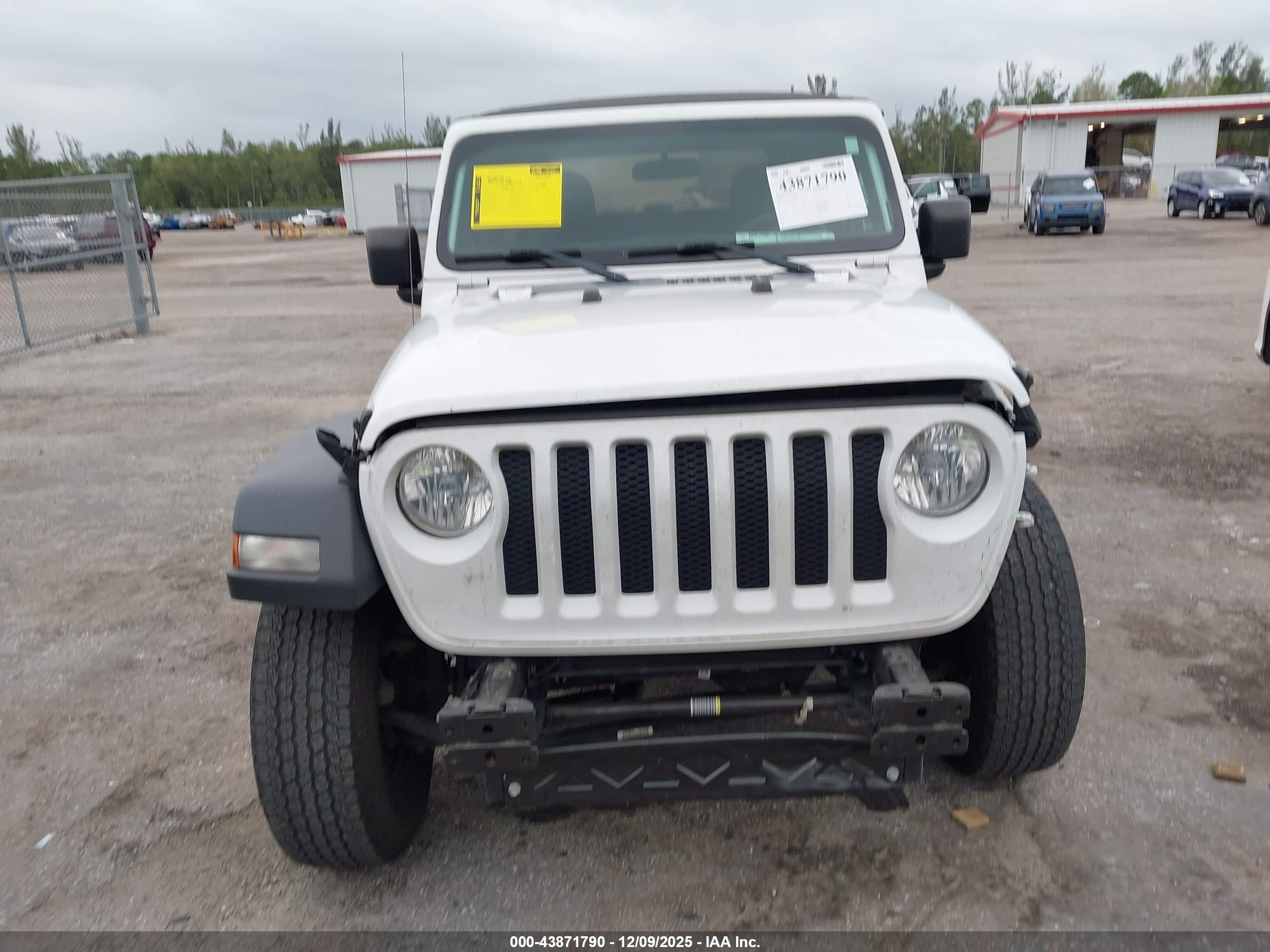 JEEP WRANGLER image 6