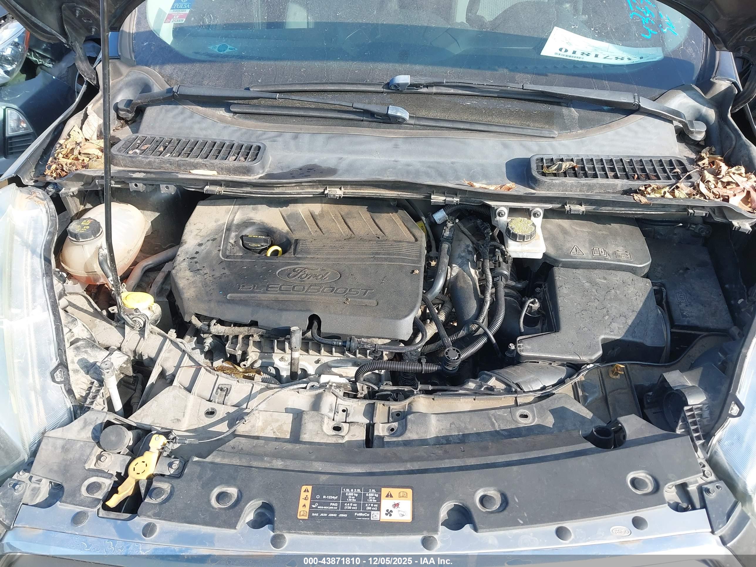 FORD ESCAPE image 10