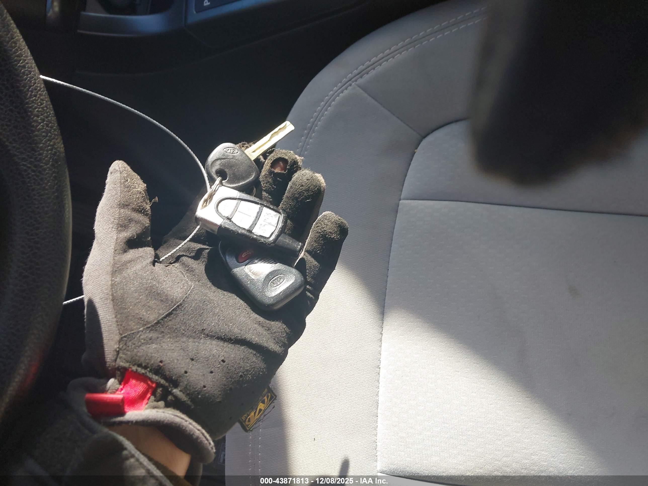 KIA OPTIMA image 11