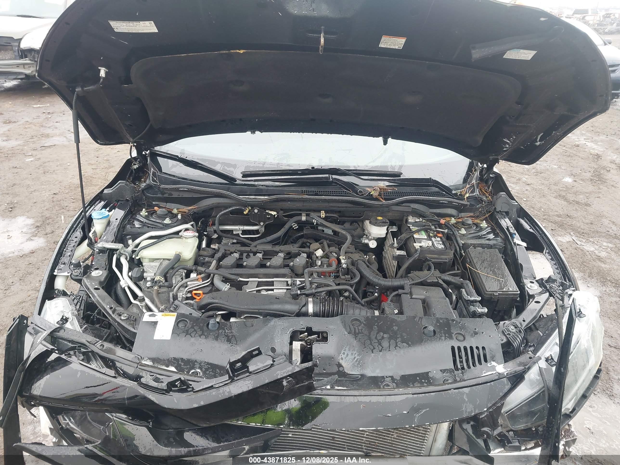 HONDA CIVIC image 10