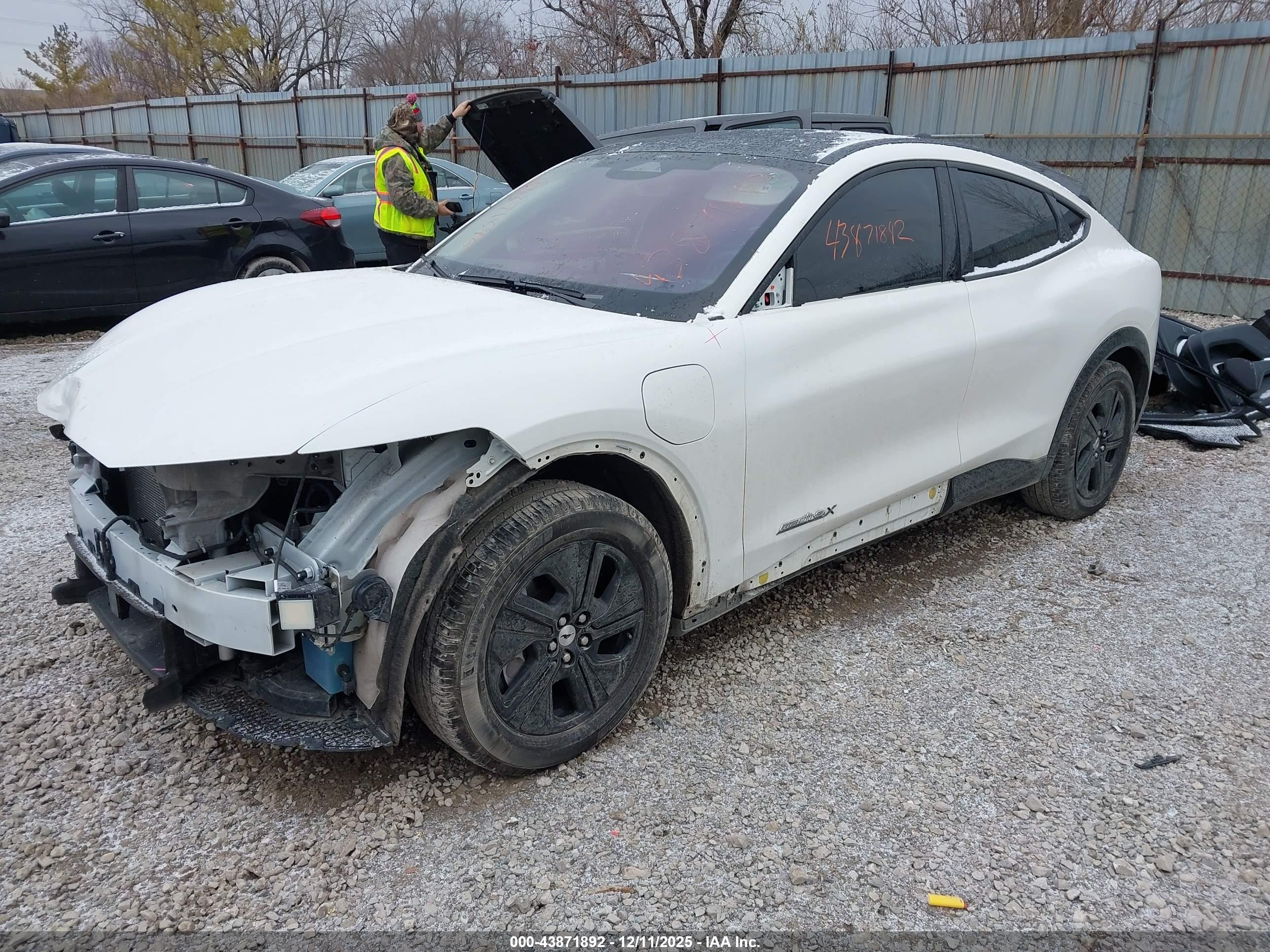 FORD MUSTANG image 2