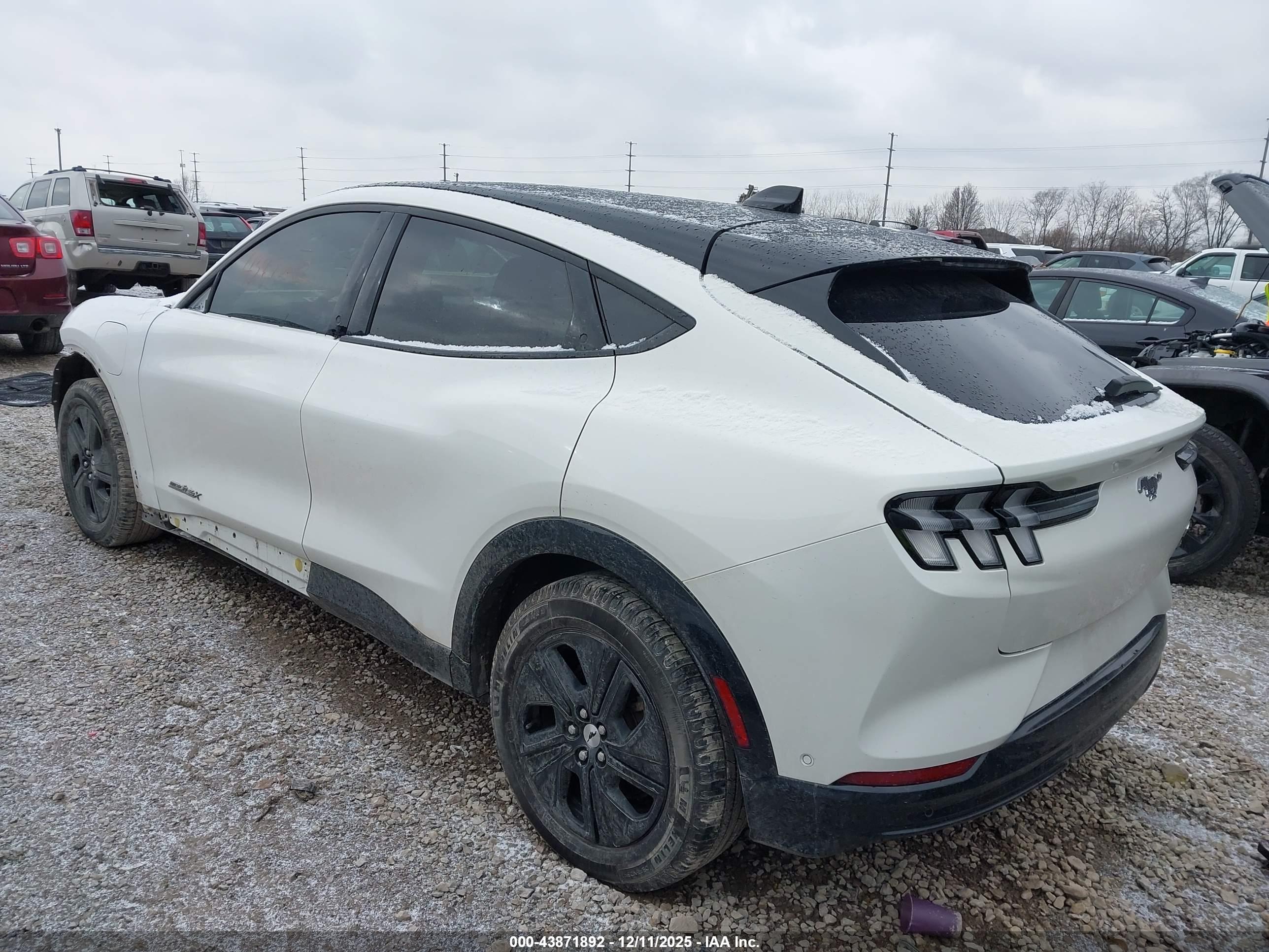 FORD MUSTANG image 3